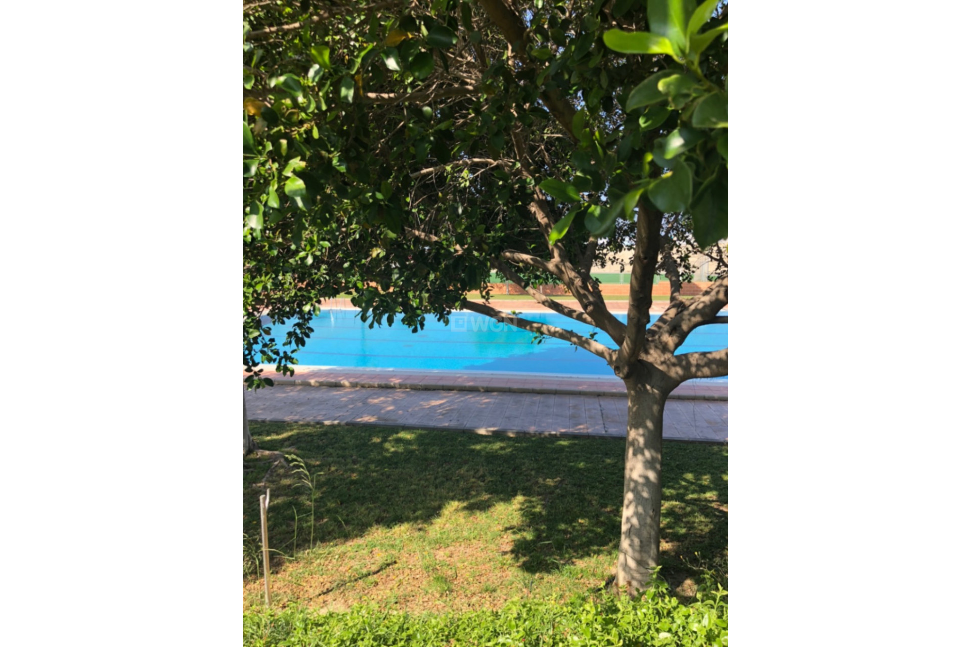 Reventa - Property - San Miguel de Salinas - Inland