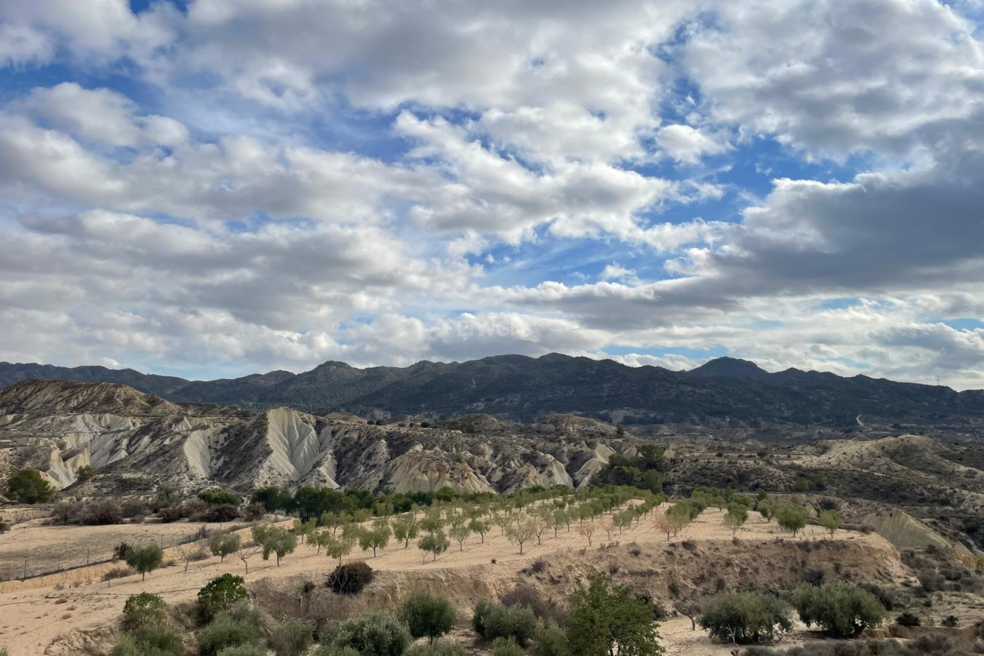 Reventa - Villa - Abanilla - Inland