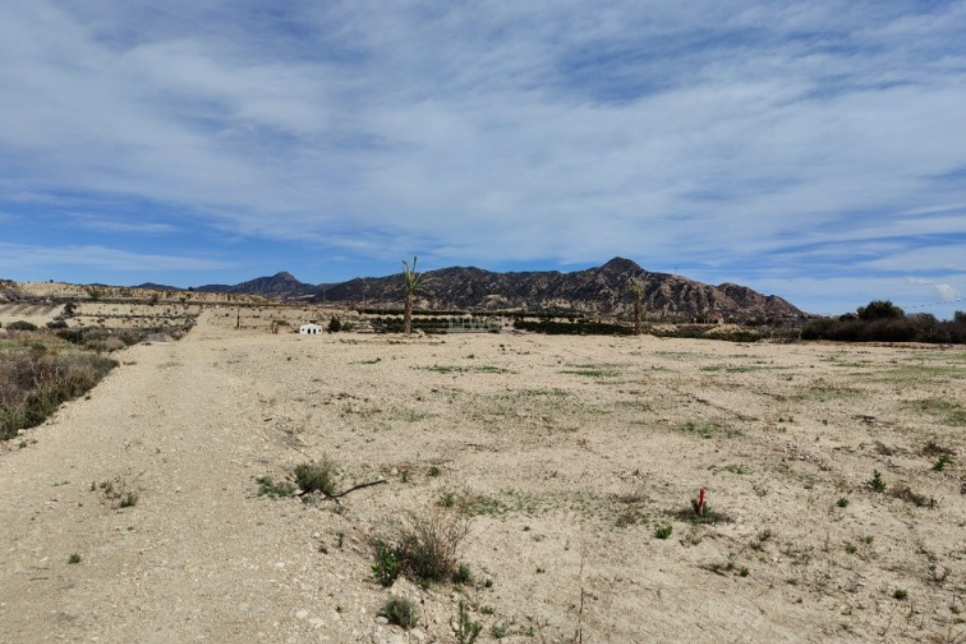 Reventa - Villa - Abanilla - Inland