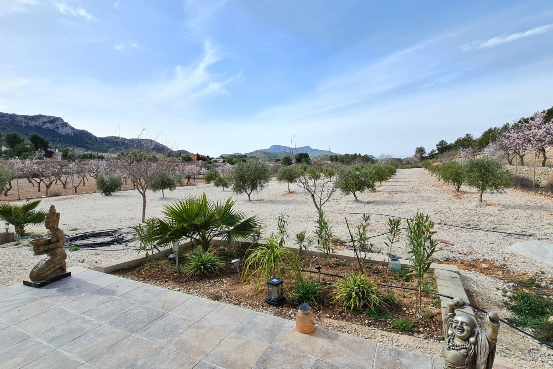 Reventa - Villa - Abanilla - Inland