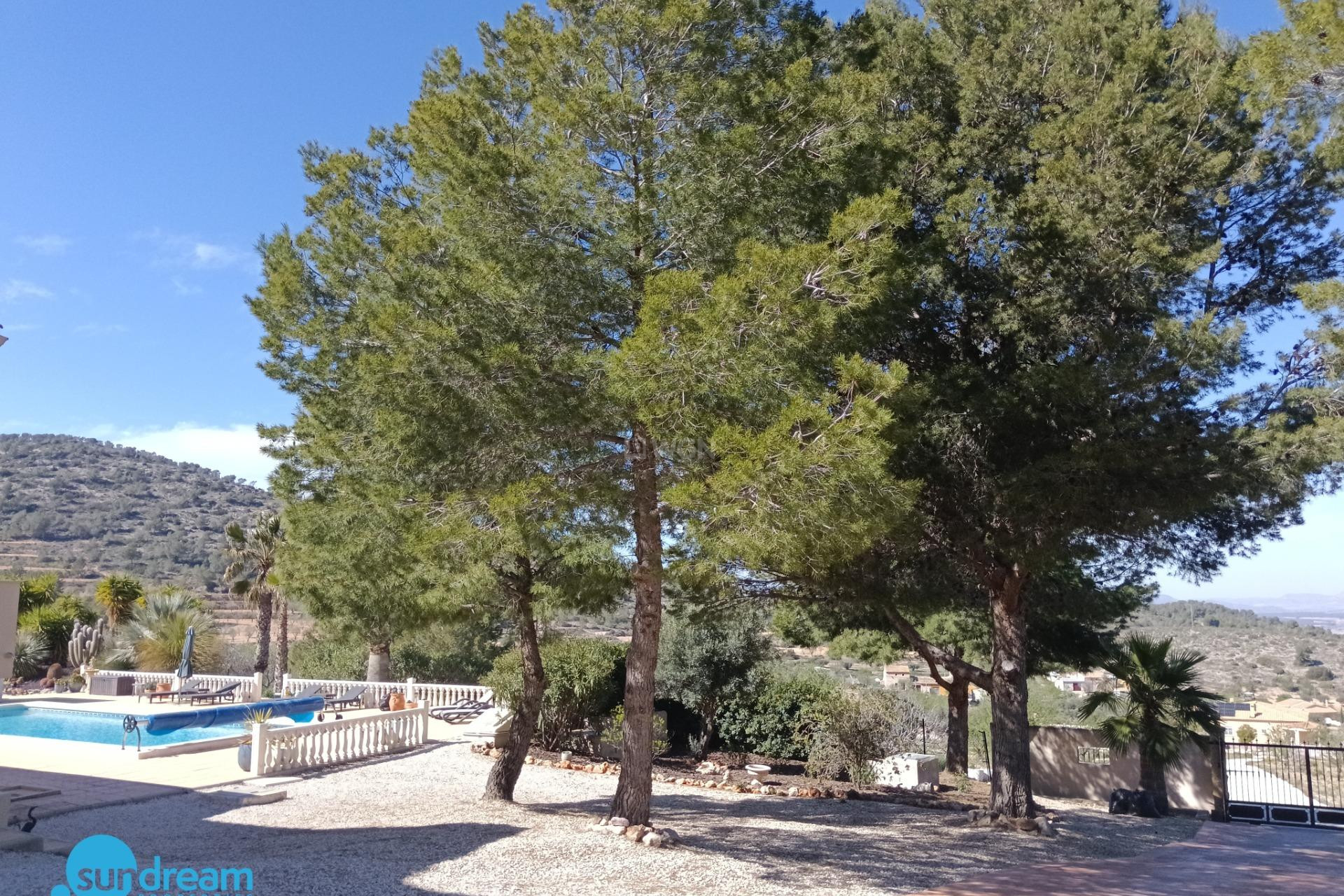 Reventa - Villa - Abanilla