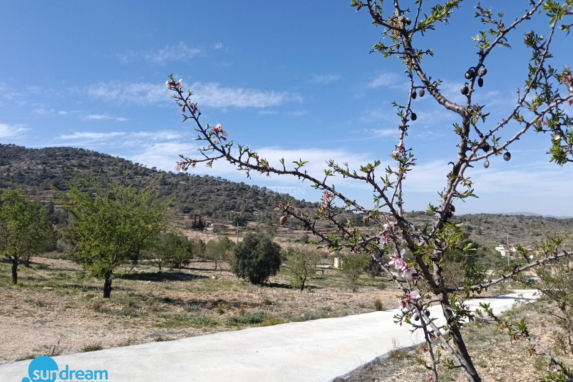 Reventa - Villa - Abanilla