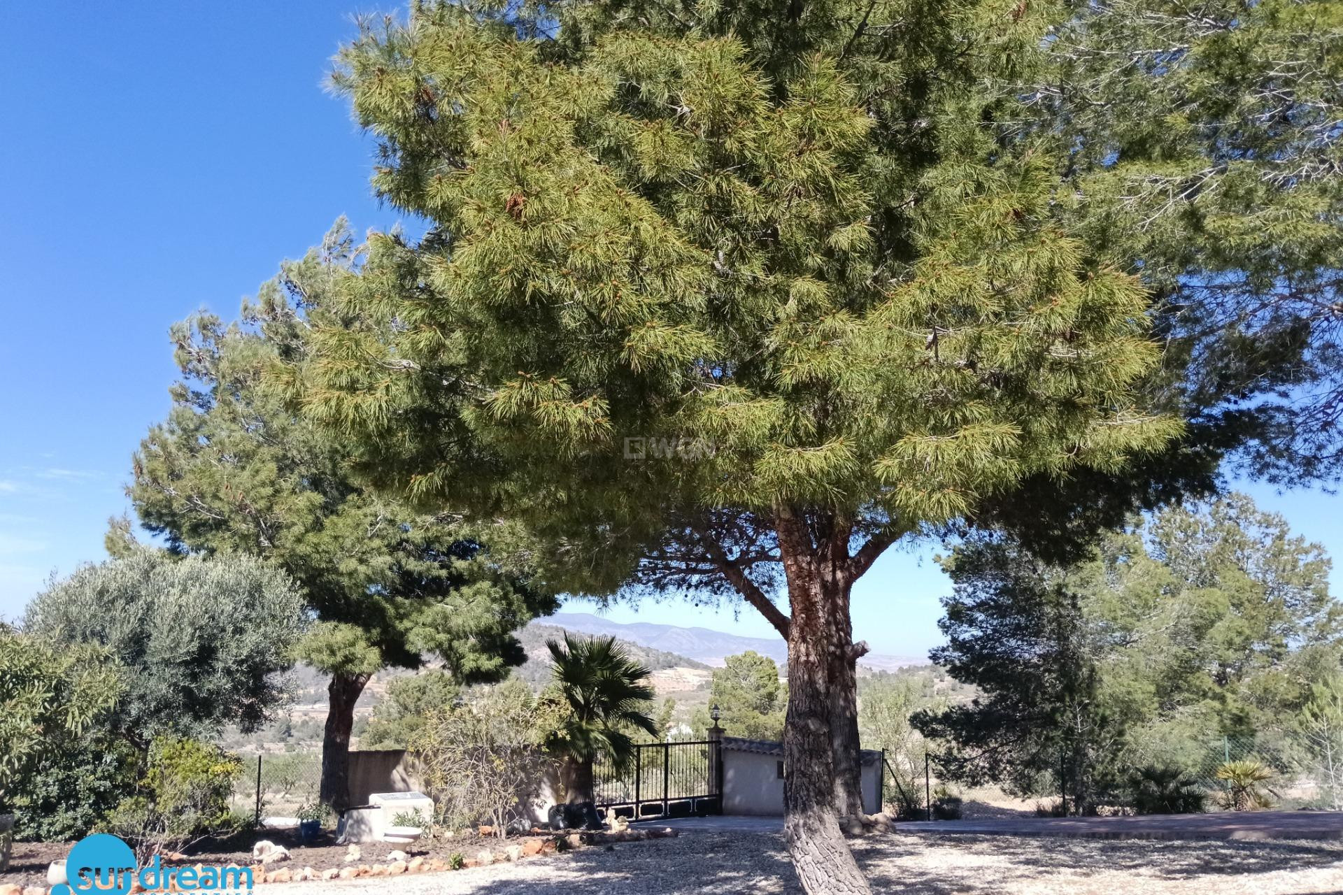 Reventa - Villa - Abanilla