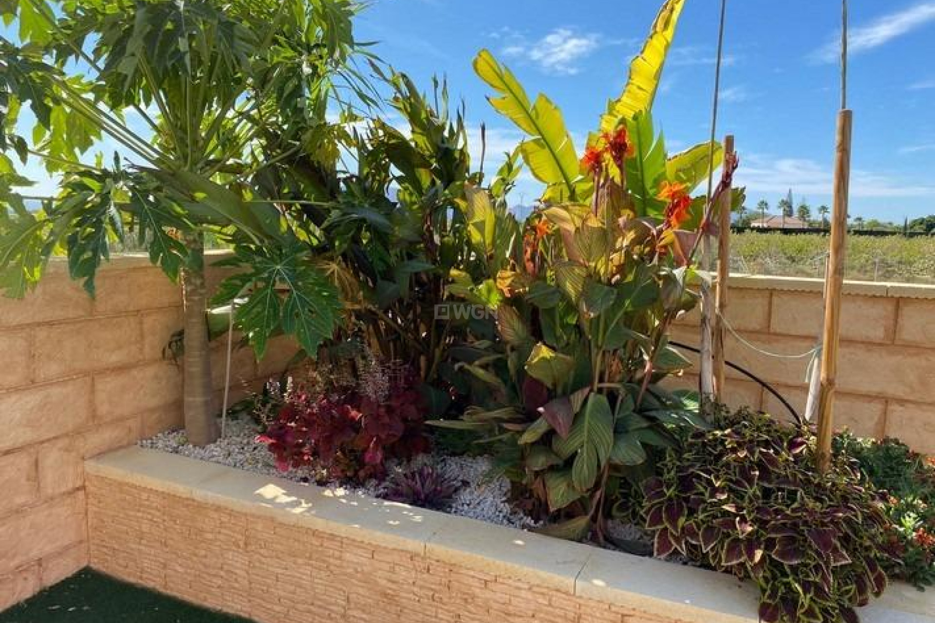 Reventa - Villa - Albatera - Campo De Albatera