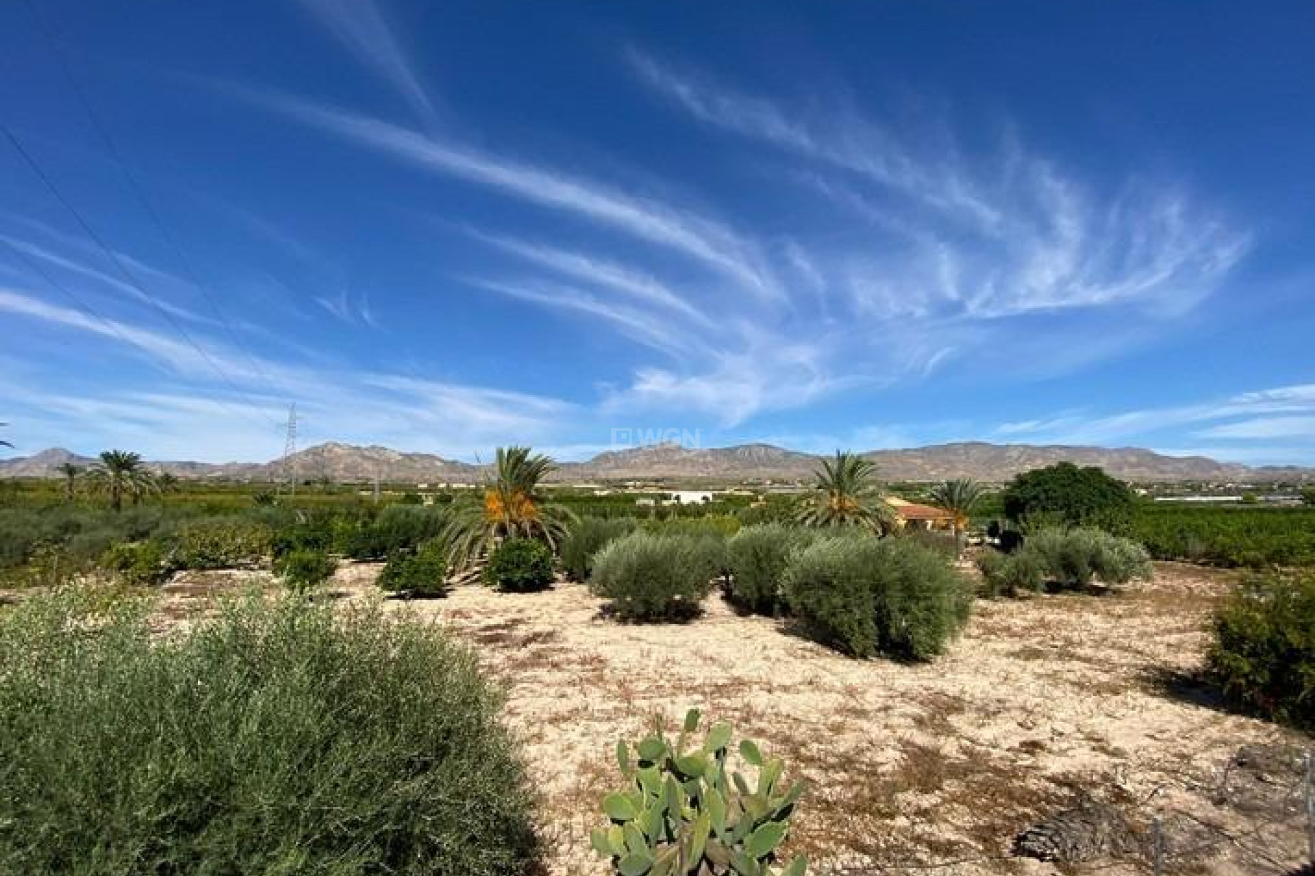 Reventa - Villa - Albatera - Campo De Albatera