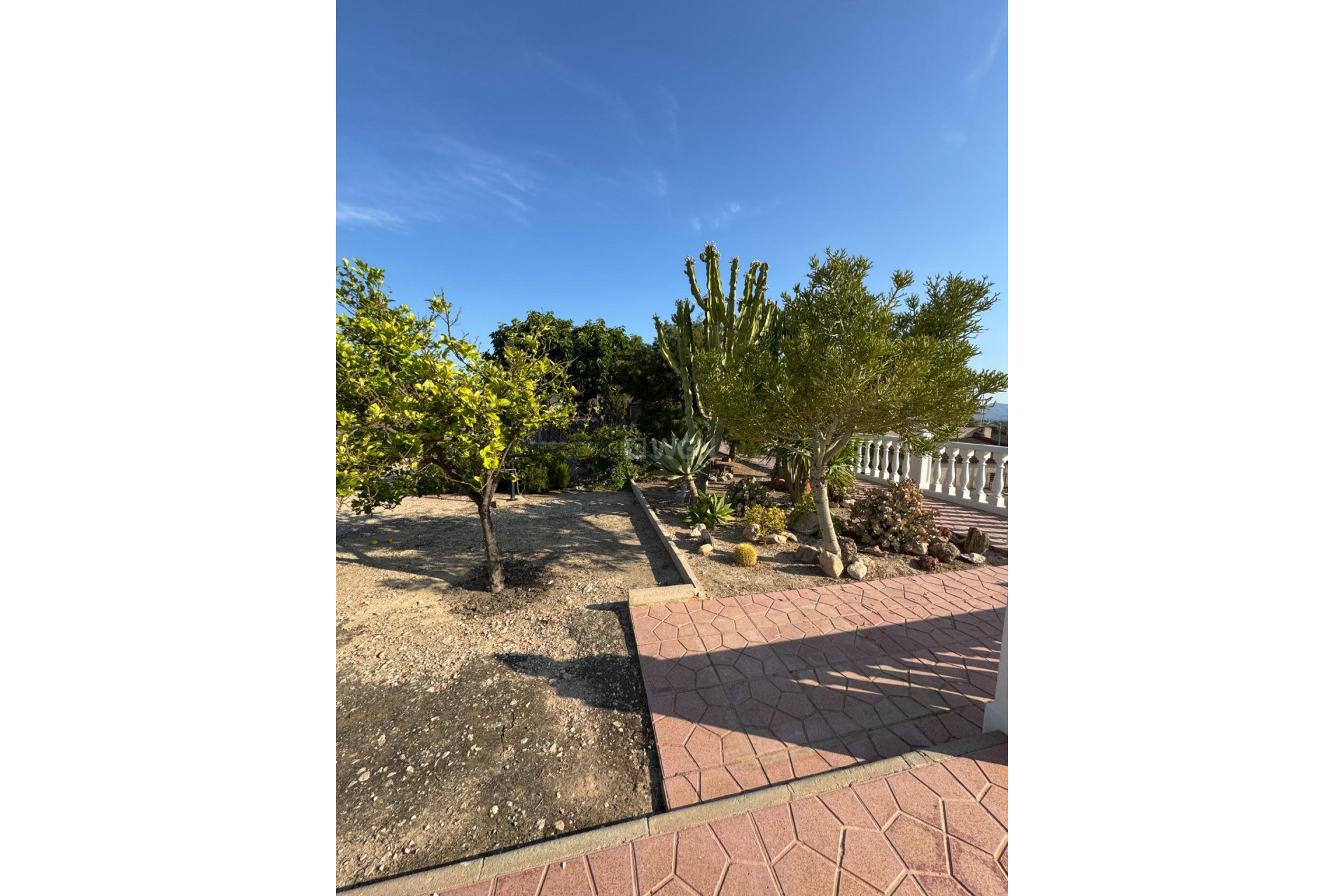 Reventa - Villa - Albatera - Partida Lomas