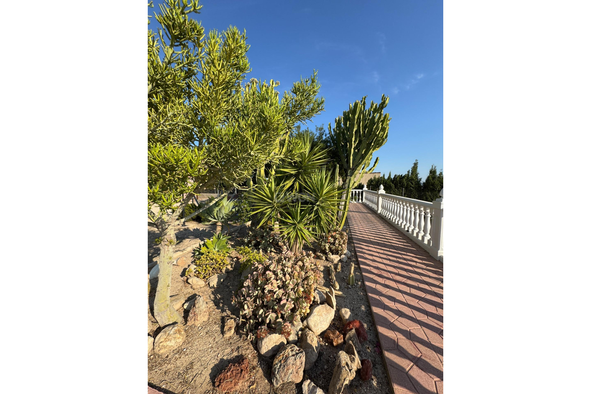 Reventa - Villa - Albatera - Partida Lomas