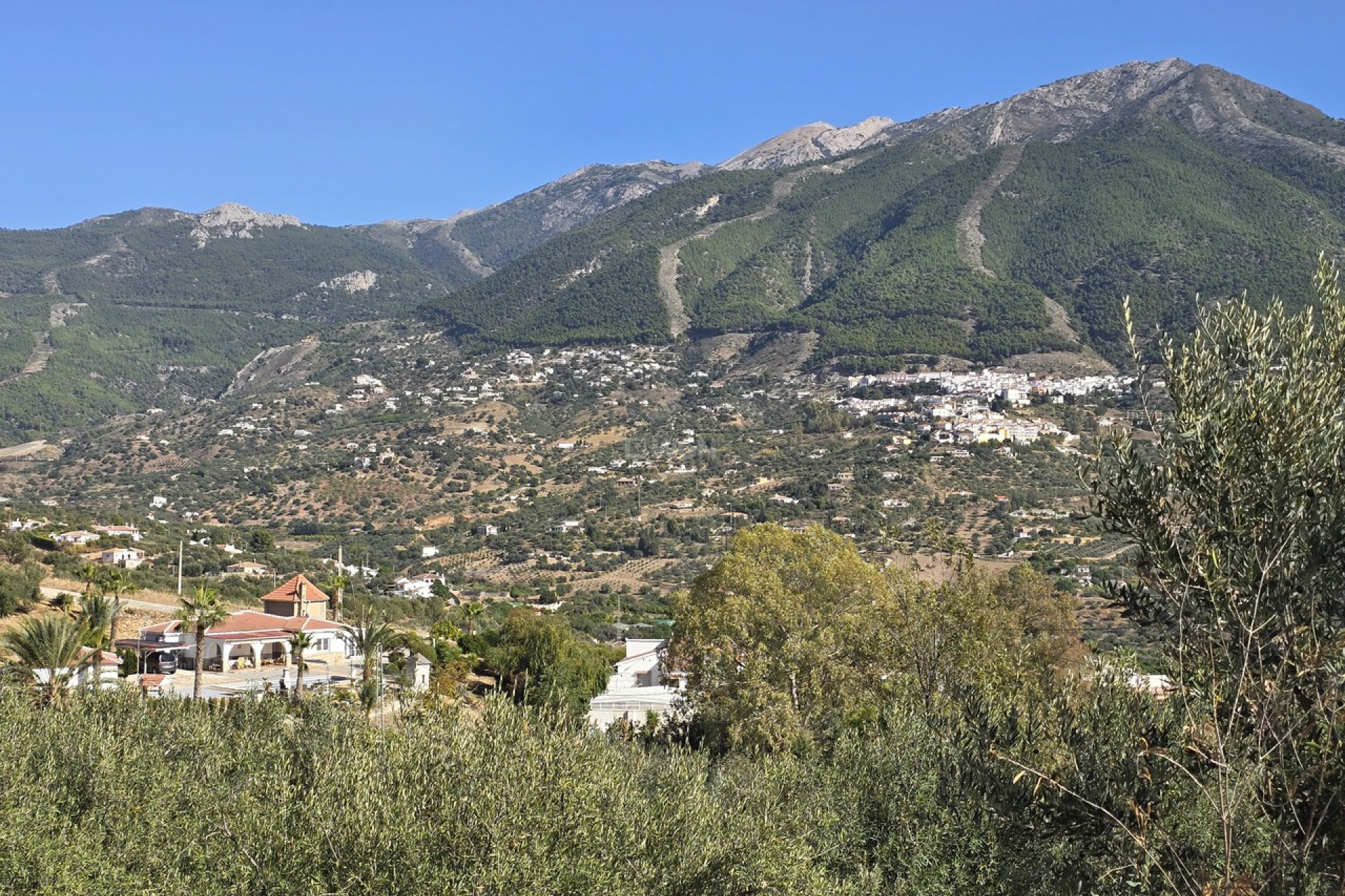 Reventa - Villa - Alcaucín - Inland