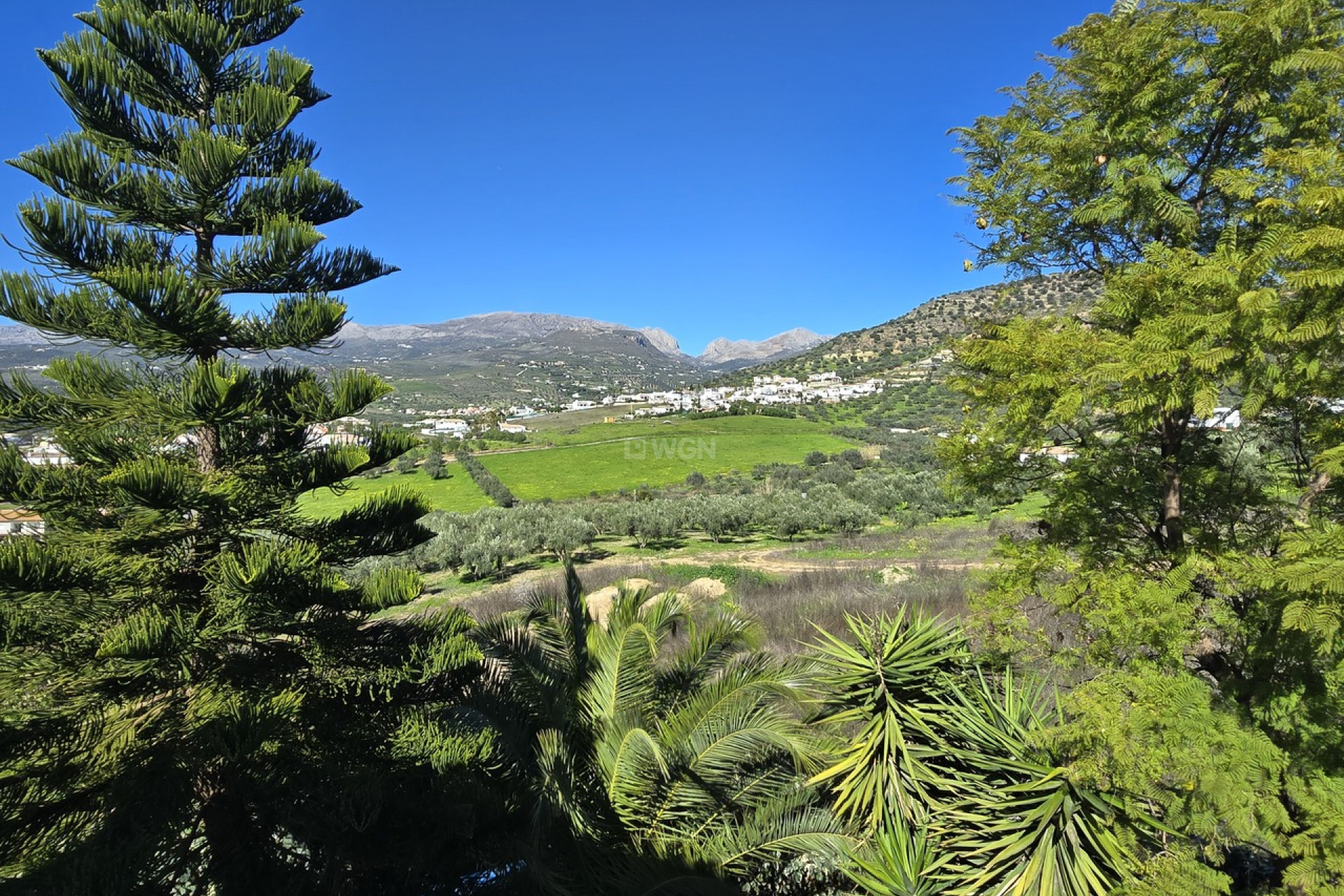 Reventa - Villa - Alcaucín - Inland