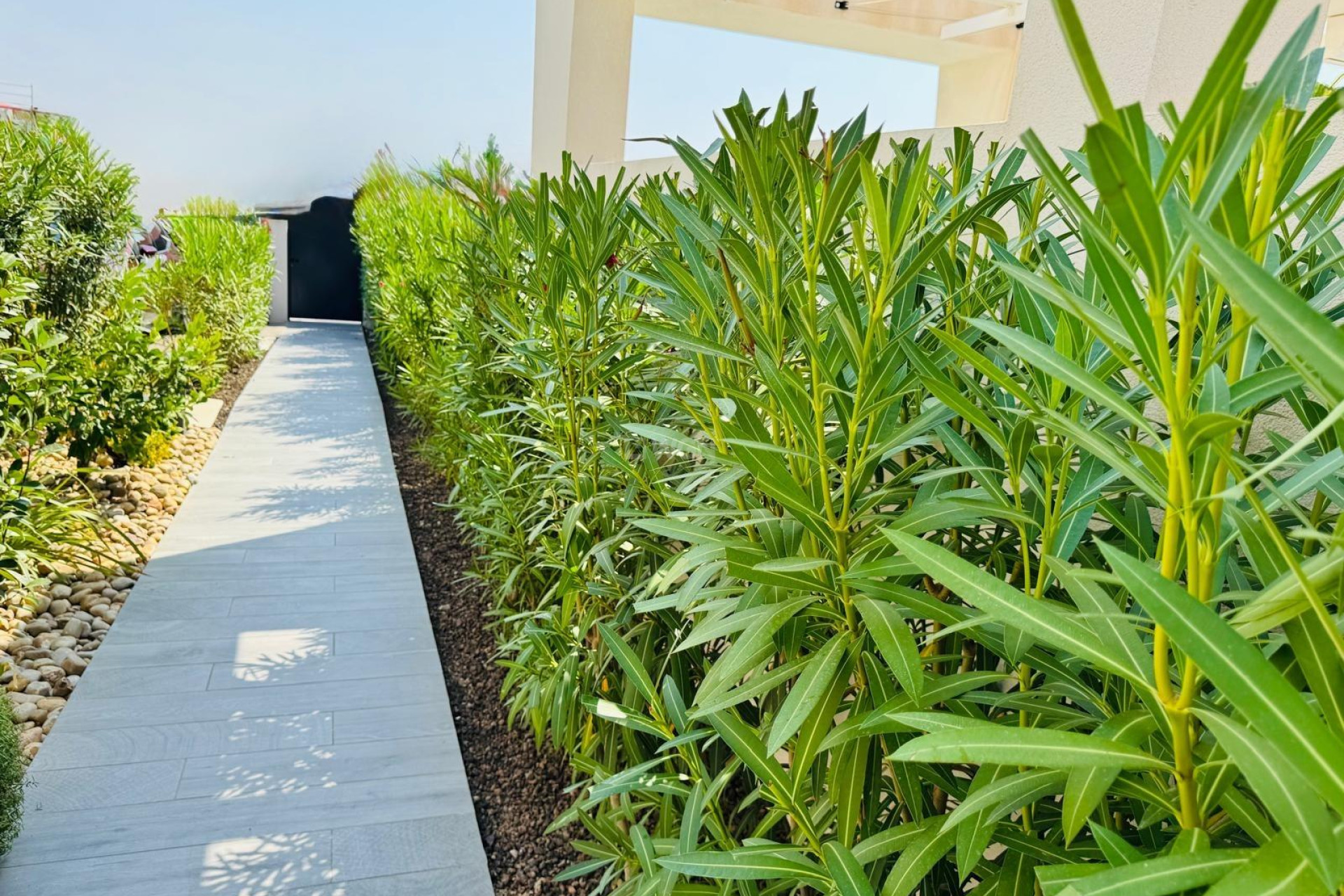 Reventa - Villa - Algorfa - Club De Golf La Finca