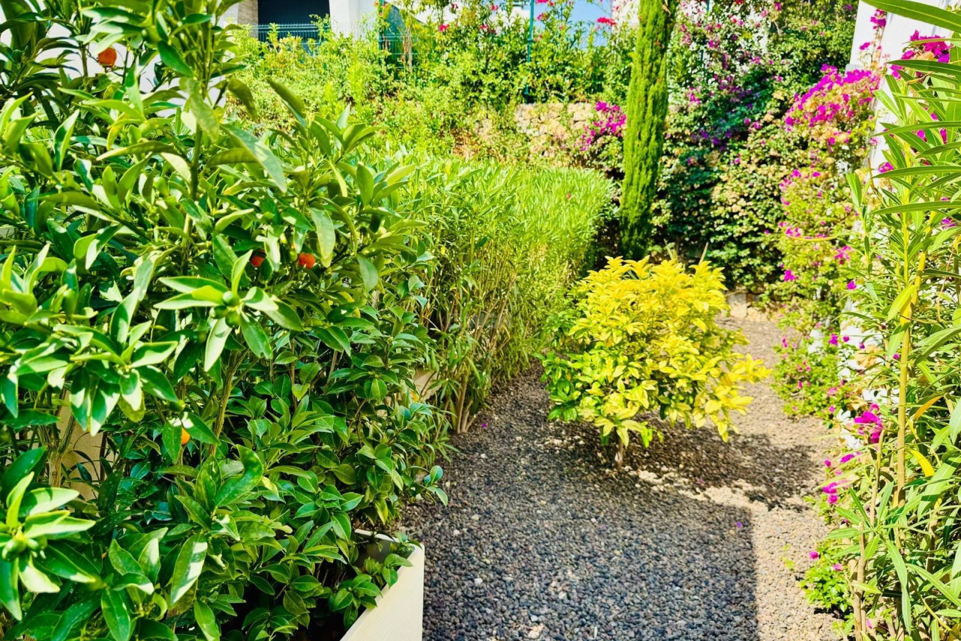 Reventa - Villa - Algorfa - Club De Golf La Finca