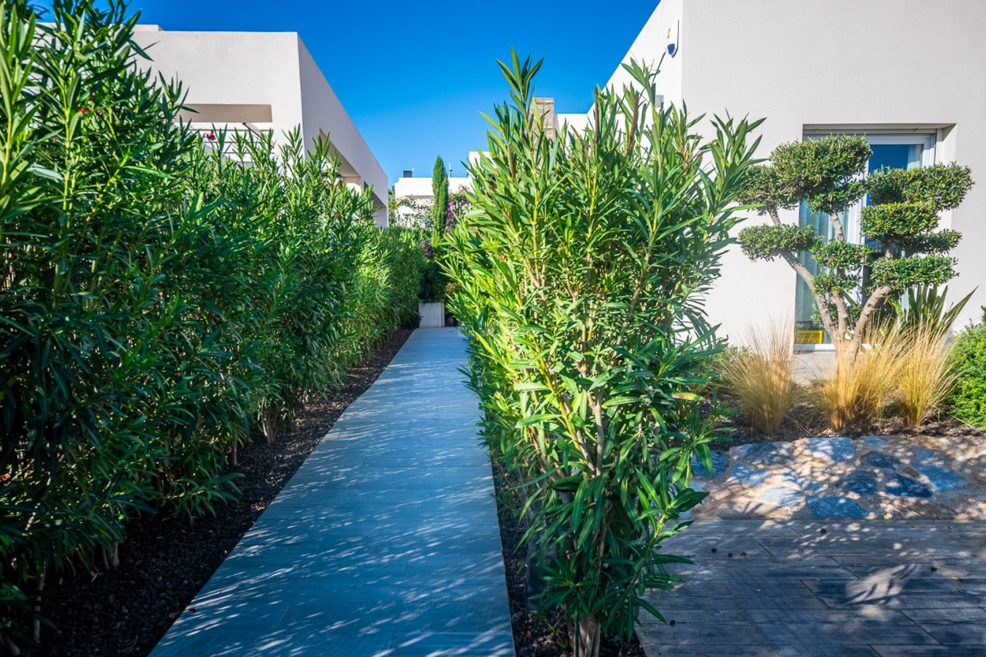 Reventa - Villa - Algorfa - Inland