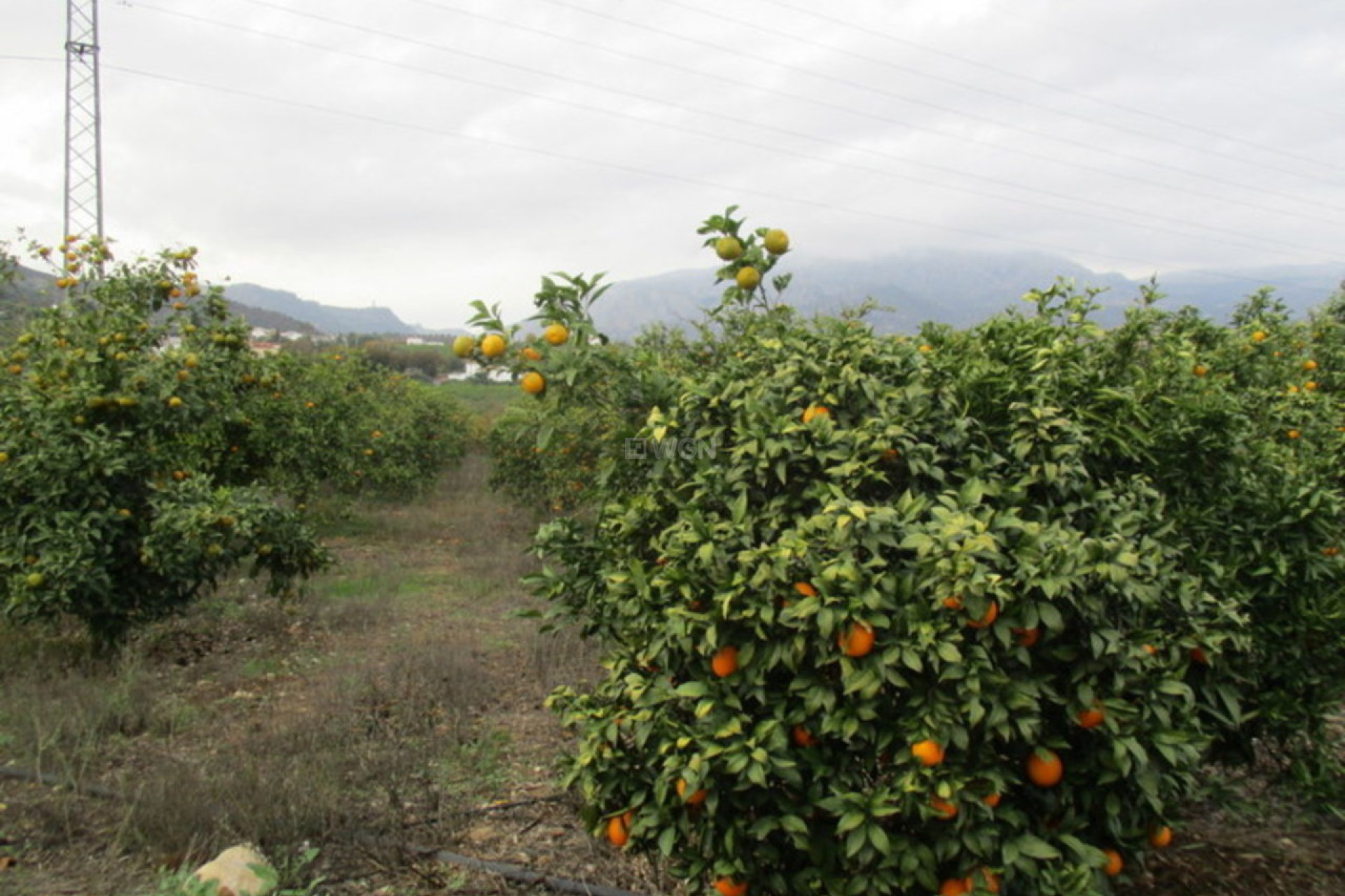 Reventa - Villa - Alora - Inland