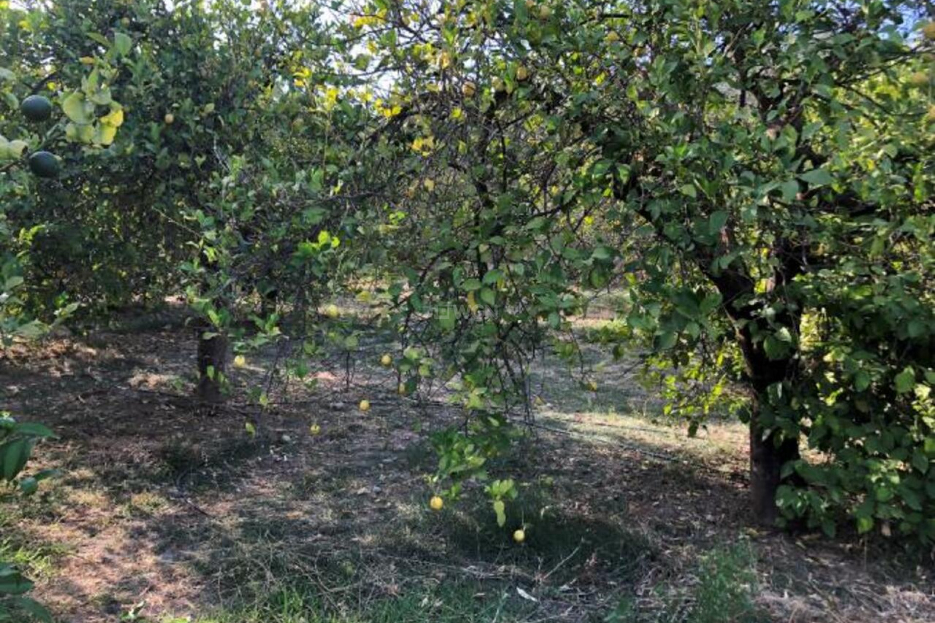 Reventa - Villa - Alora - Inland