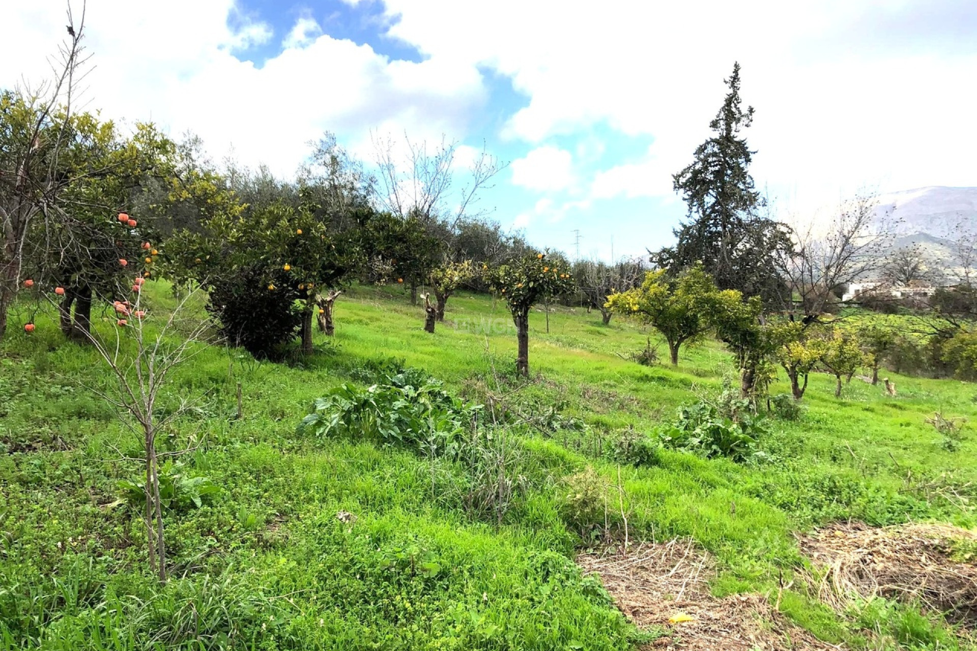 Reventa - Villa - Alora - Inland