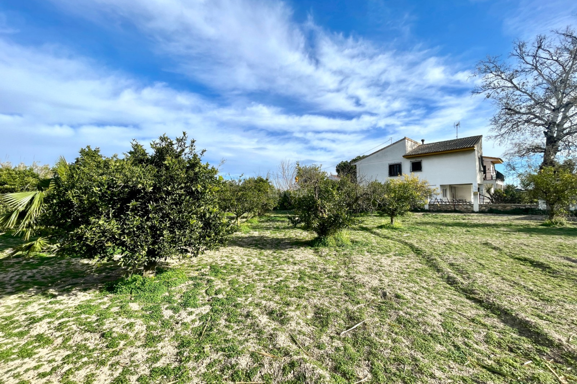 Reventa - Villa - Benejúzar - Inland