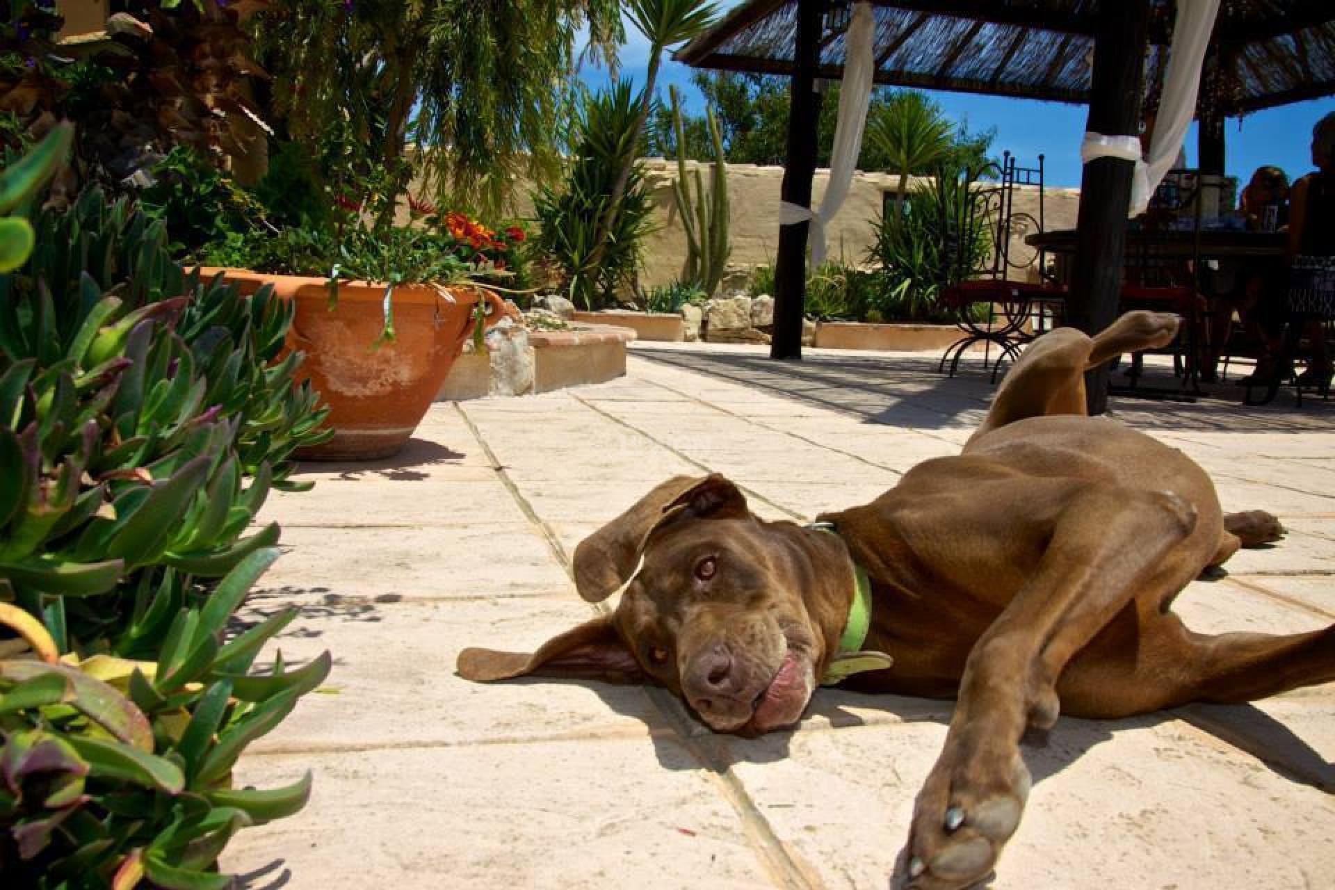 Reventa - Villa - Benissa - Costa Blanca