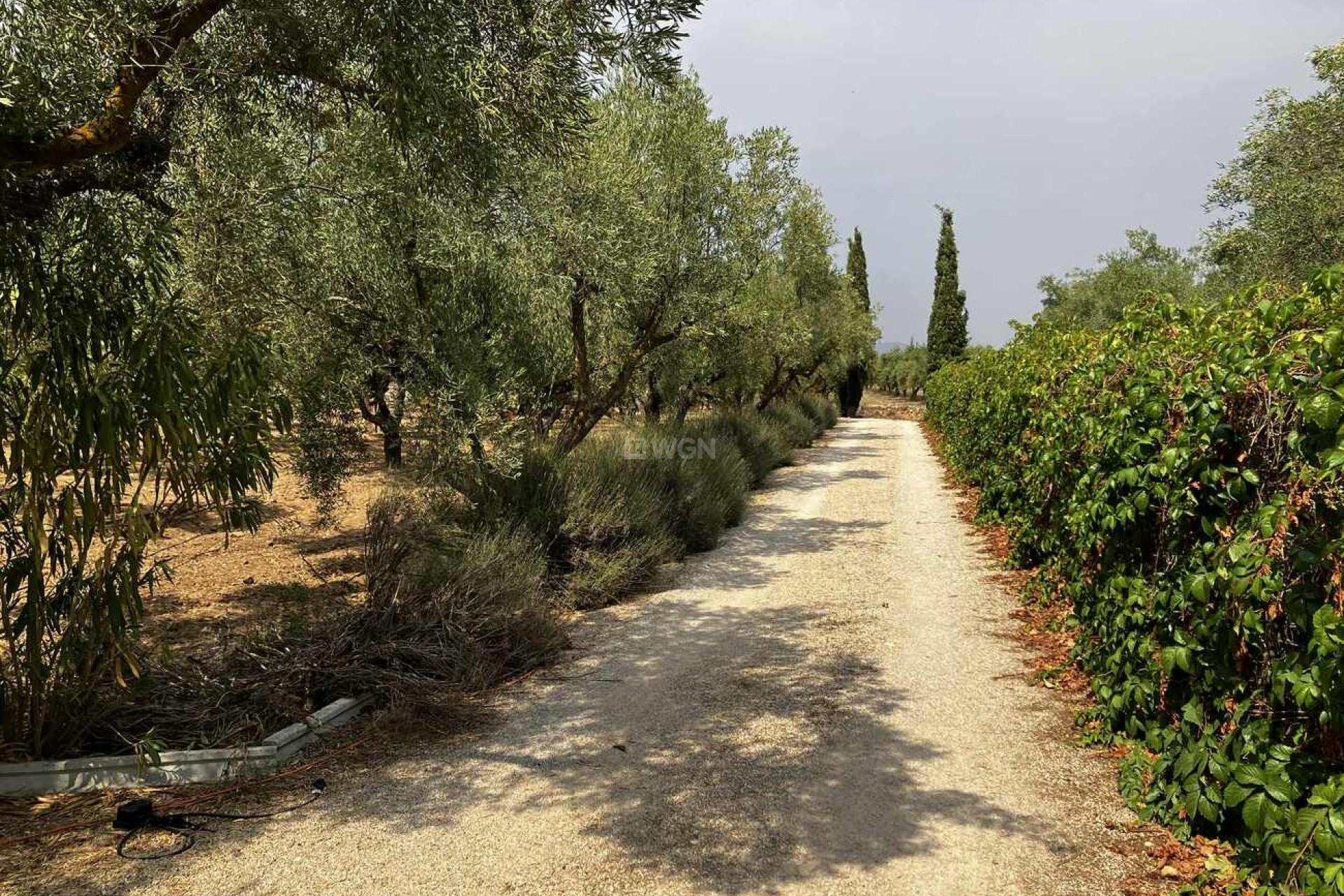 Reventa - Villa - Biar - Costa Blanca