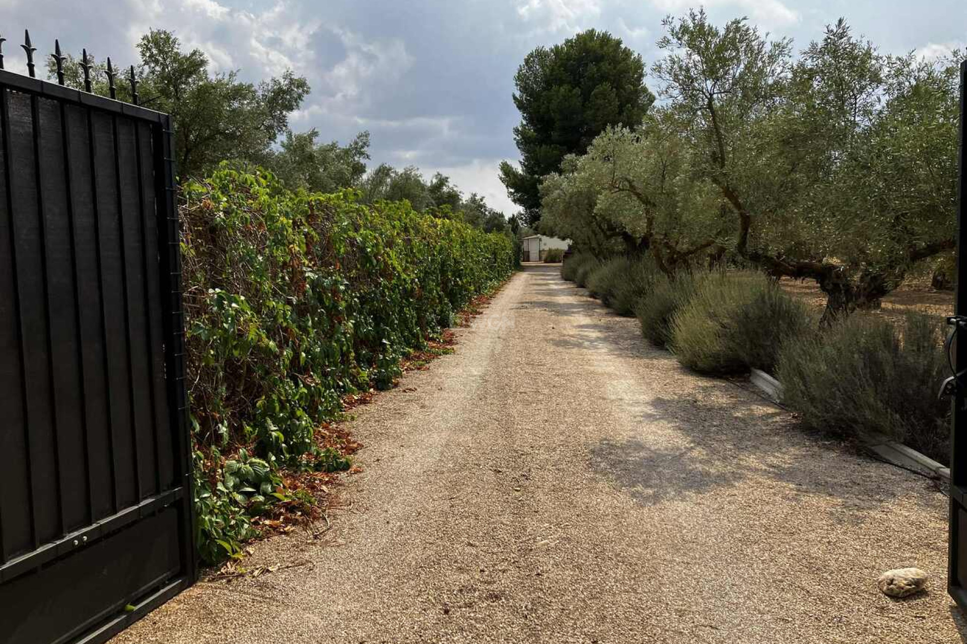 Reventa - Villa - Biar - Costa Blanca