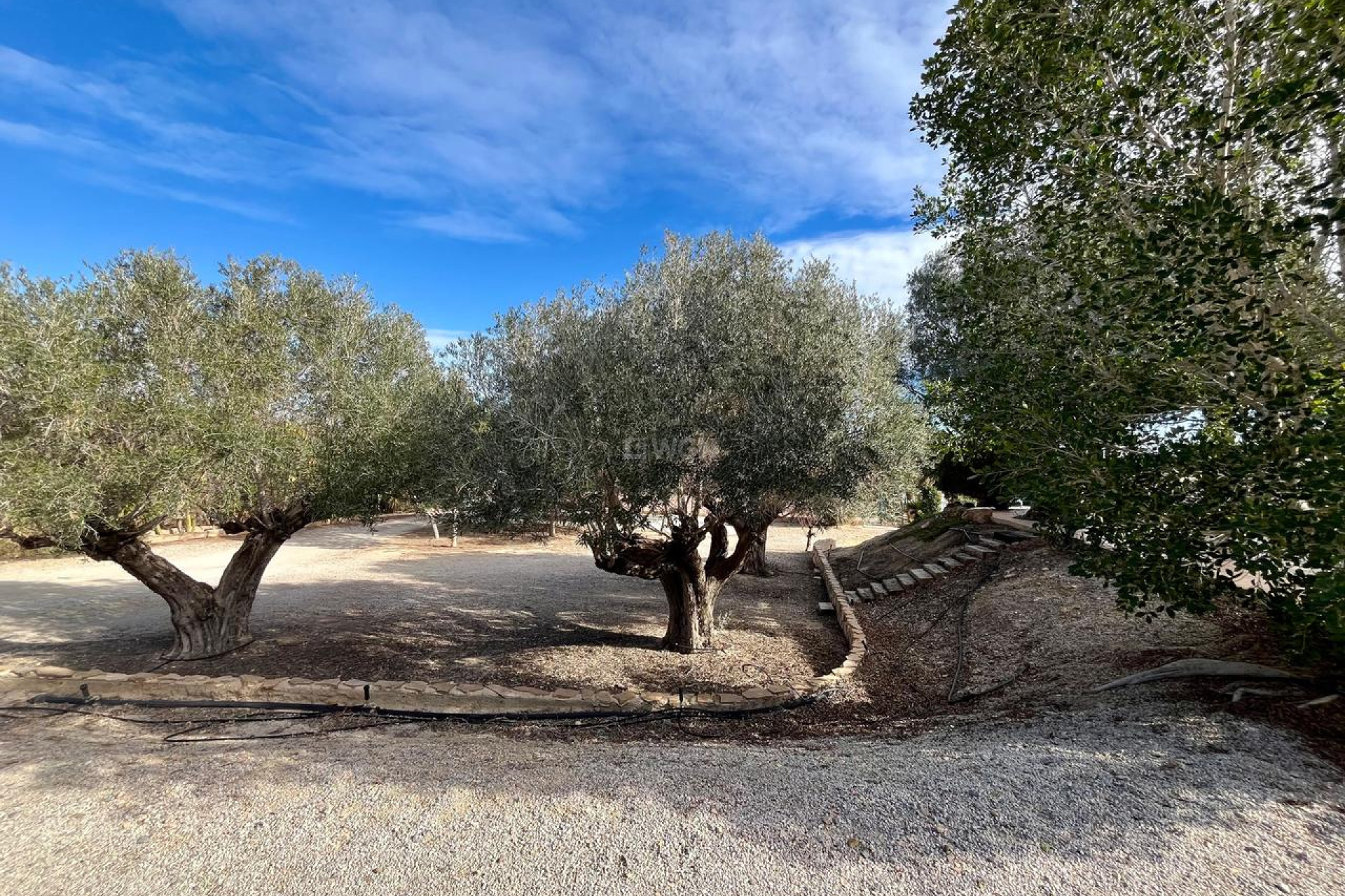 Reventa - Villa - El Esparragal - Inland