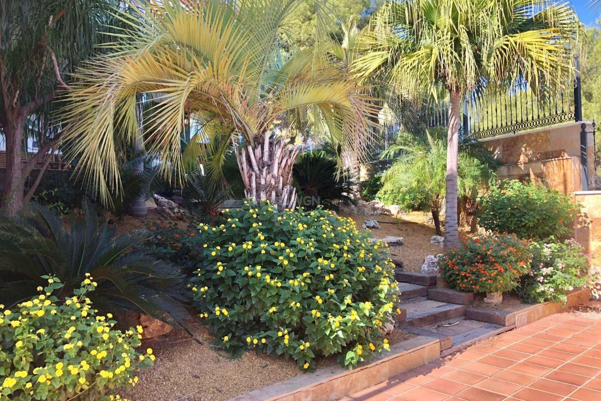 Reventa - Villa - El Palmar