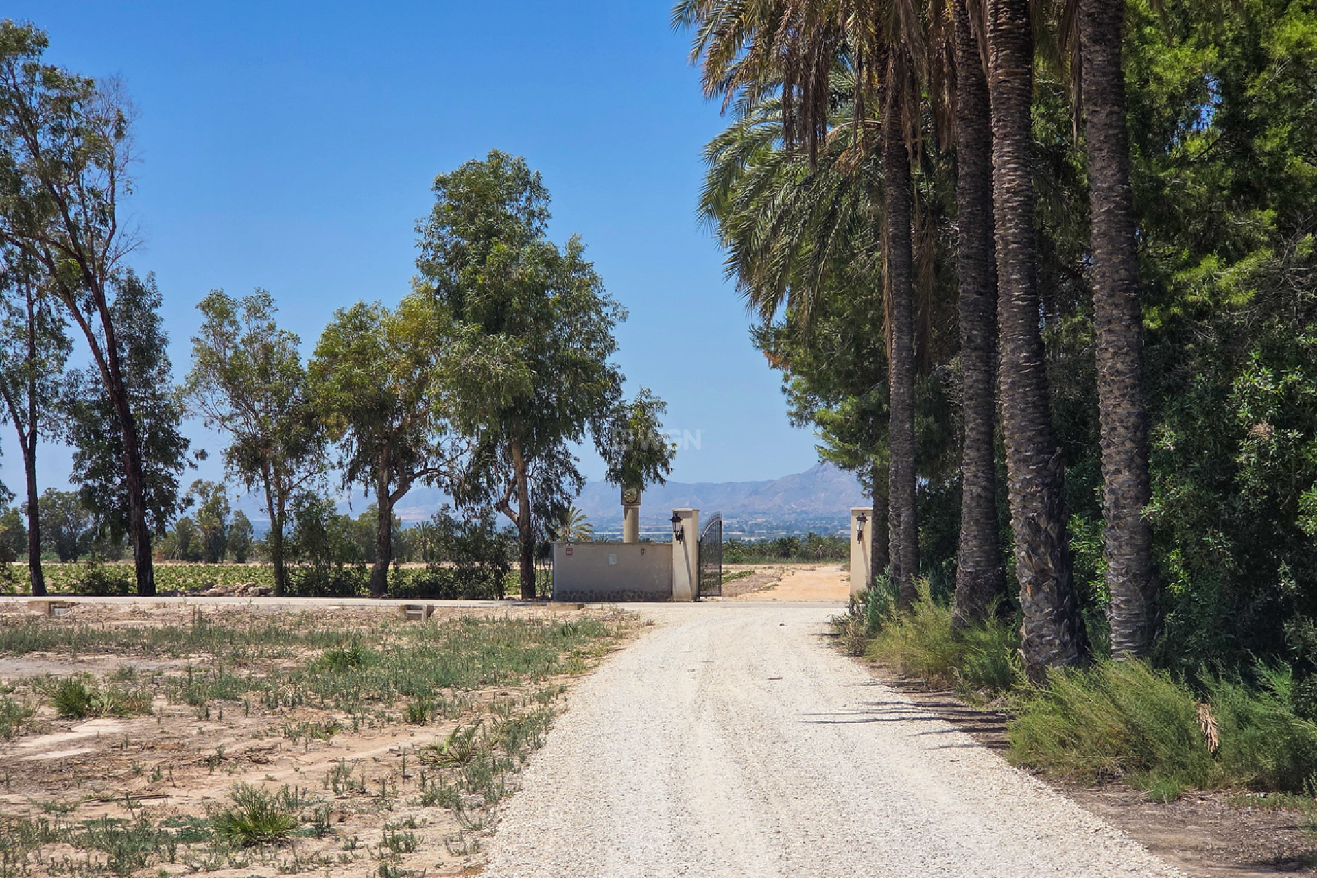 Reventa - Villa - Elche - Costa Blanca
