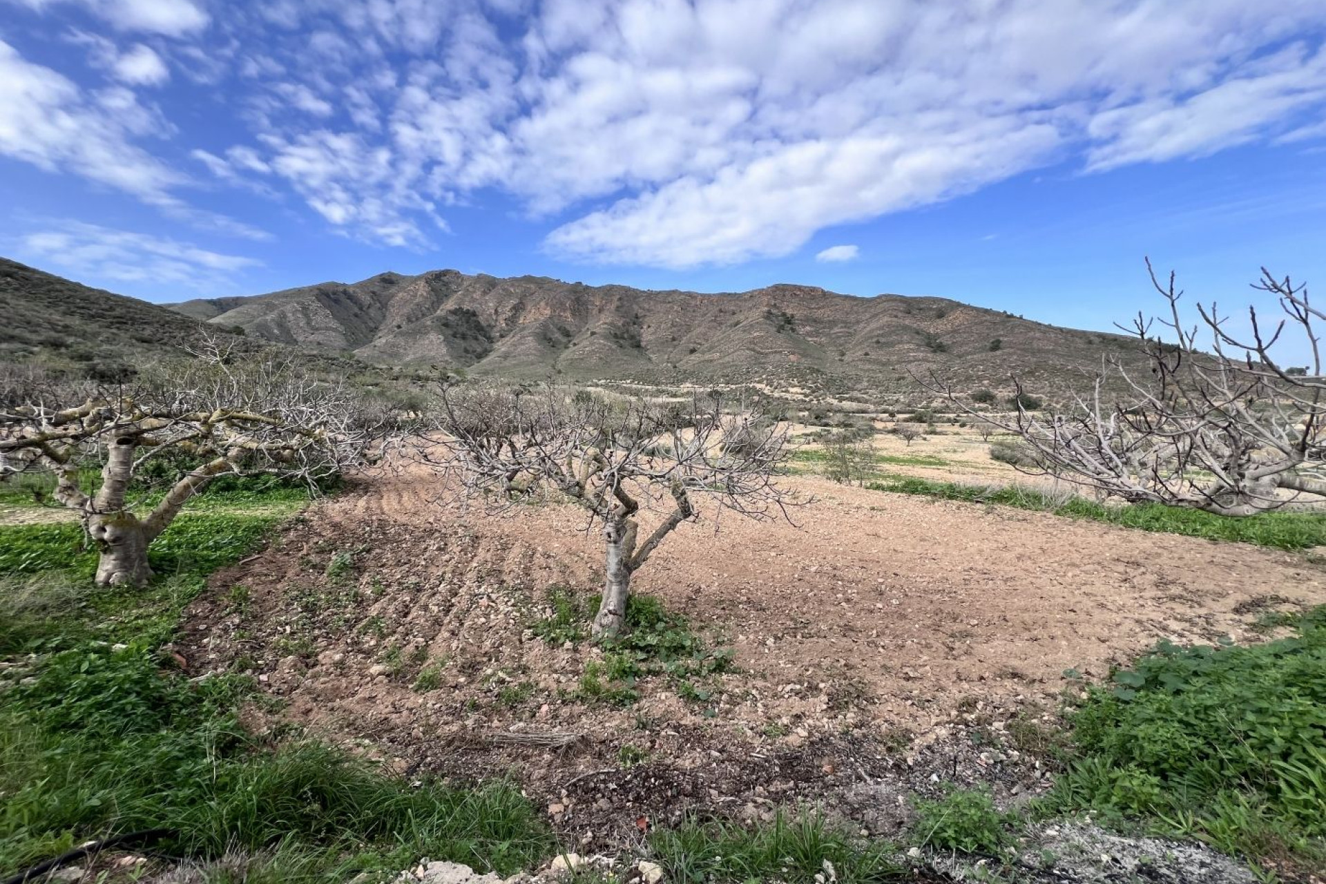 Reventa - Villa - Fuente Álamo - La Pinilla - Las Palas