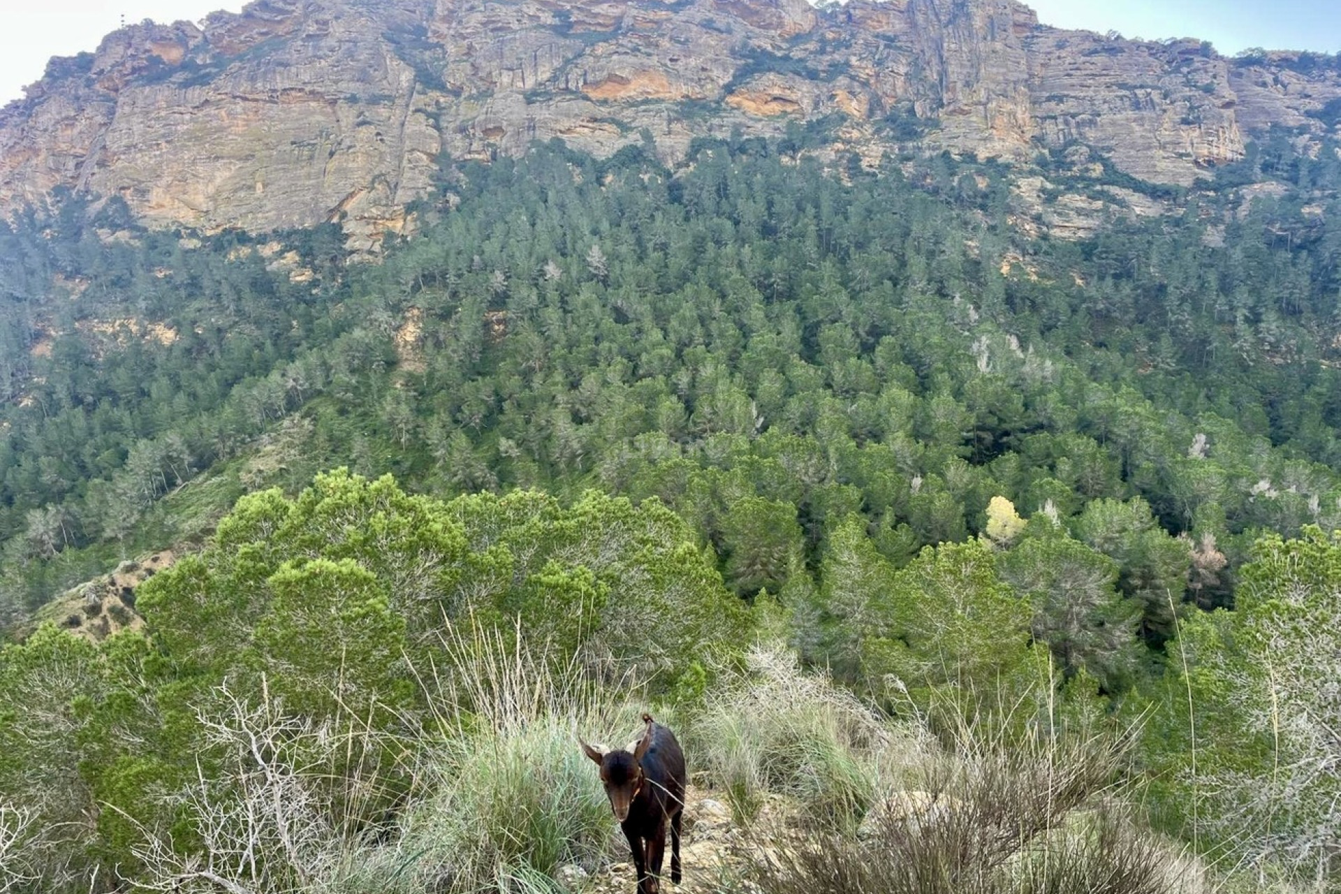 Reventa - Villa - Gea Y Truyols - Sierra de Columbares Natural Park
