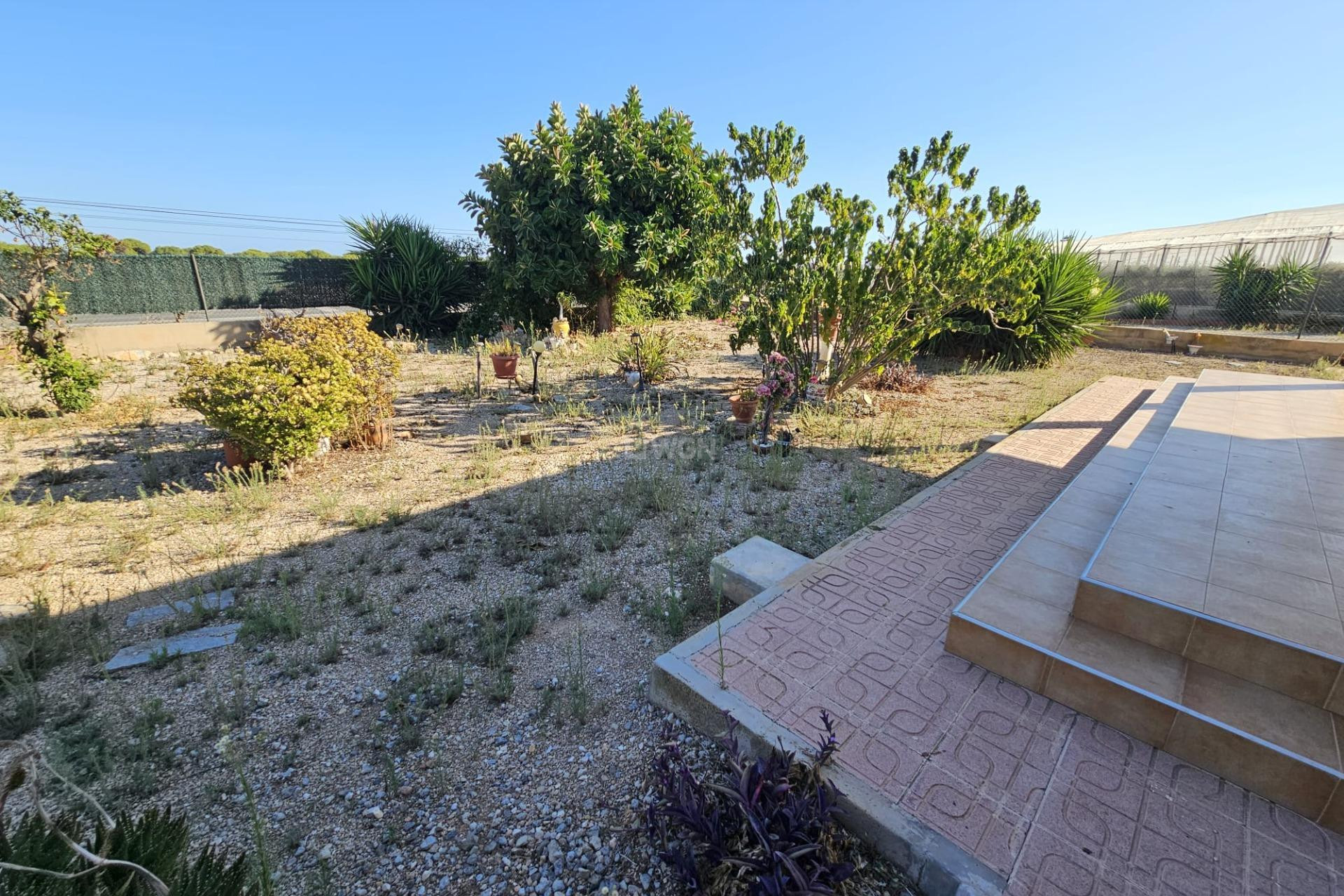 Reventa - Villa - Guardamar del Segura - Buenavista