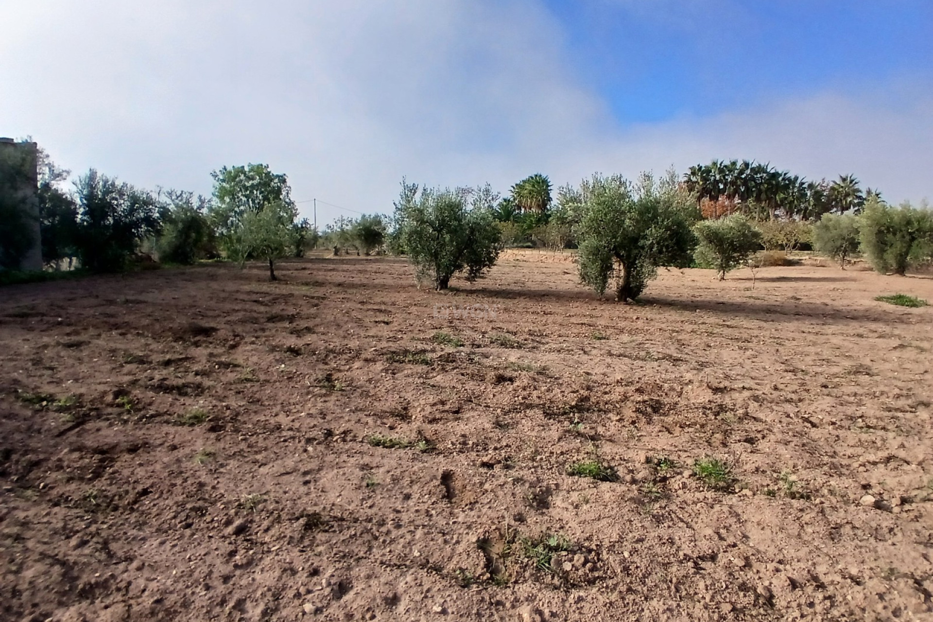 Reventa - Villa - Jumilla - Inland