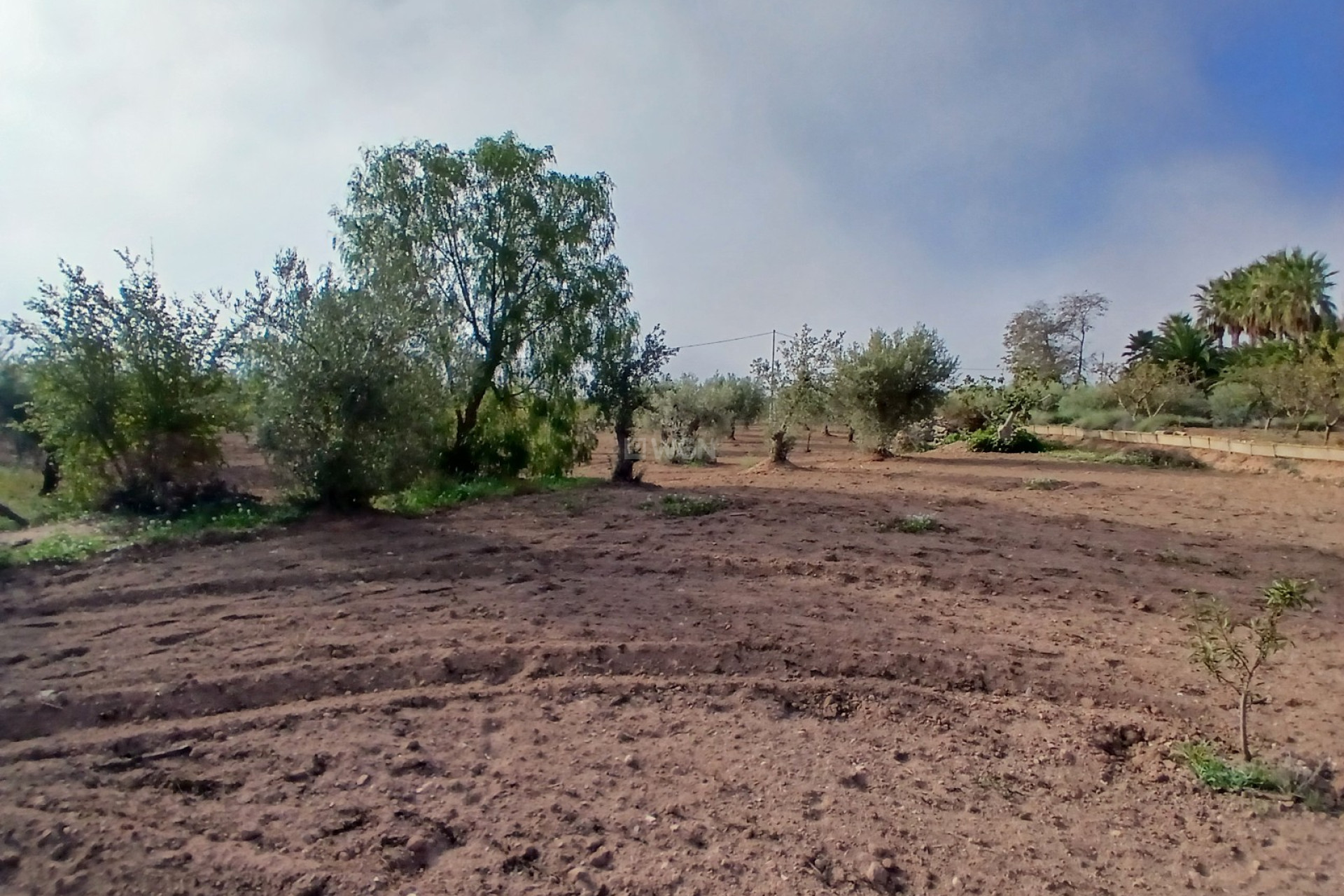 Reventa - Villa - Jumilla - Inland