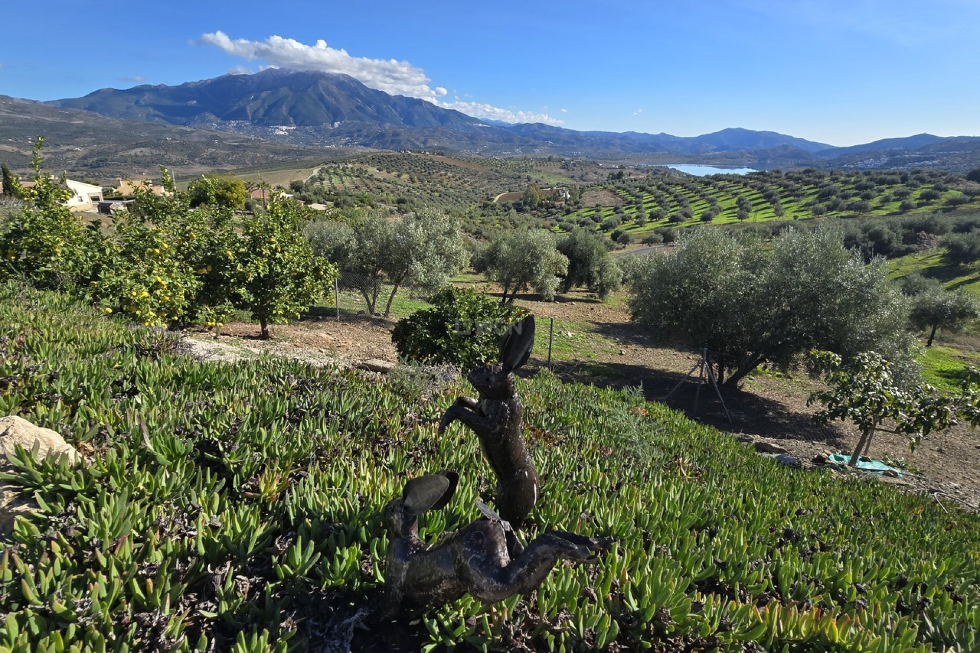 Reventa - Villa - La Vinuela - Inland