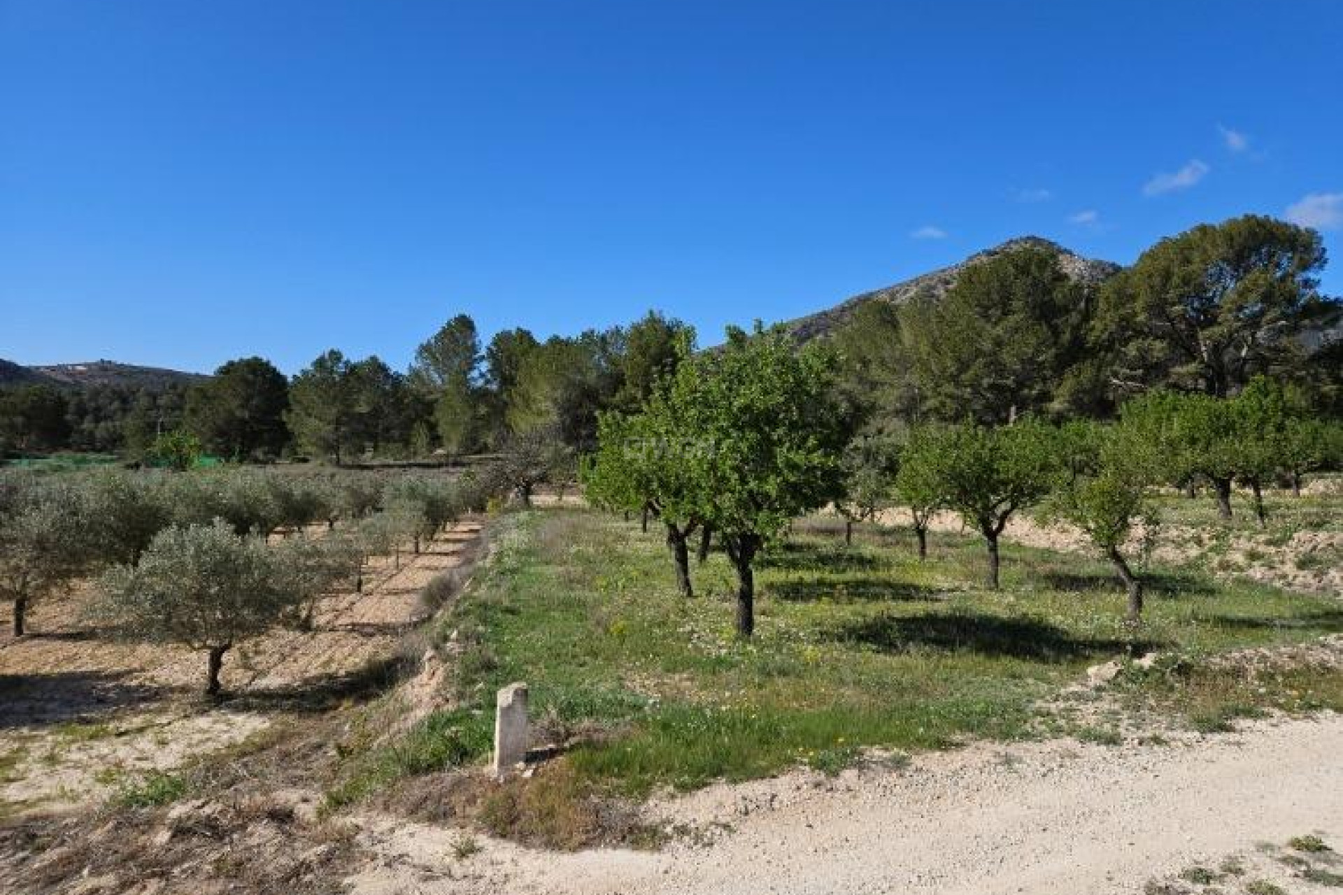 Reventa - Villa - Monóvar/Monóver - Comunidad Valenciana