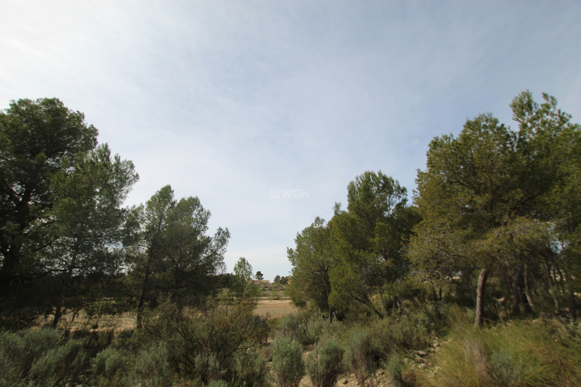 Reventa - Villa - Monóvar/Monóver - Inland