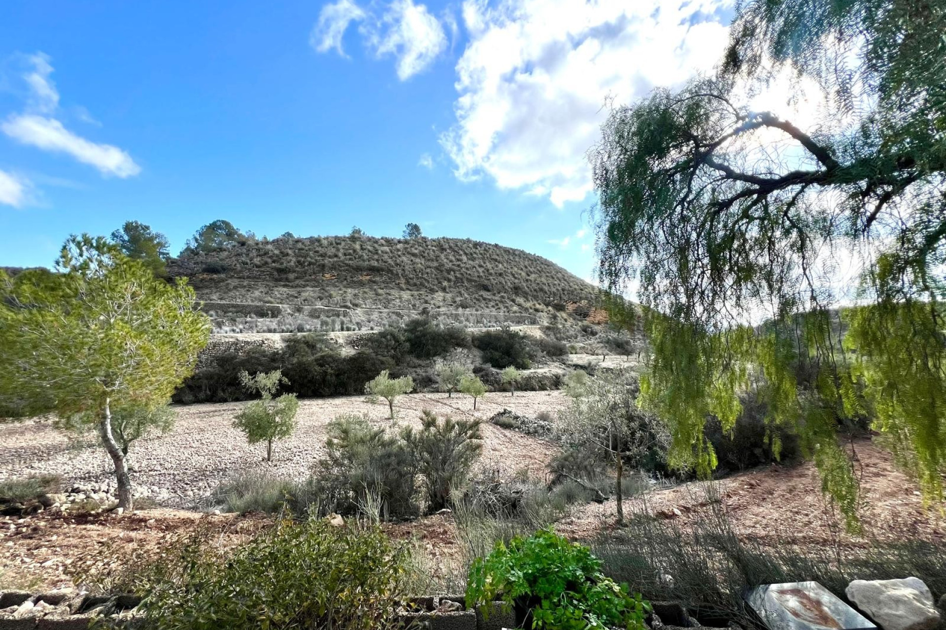 Reventa - Villa - Monóvar/Monóver - Inland