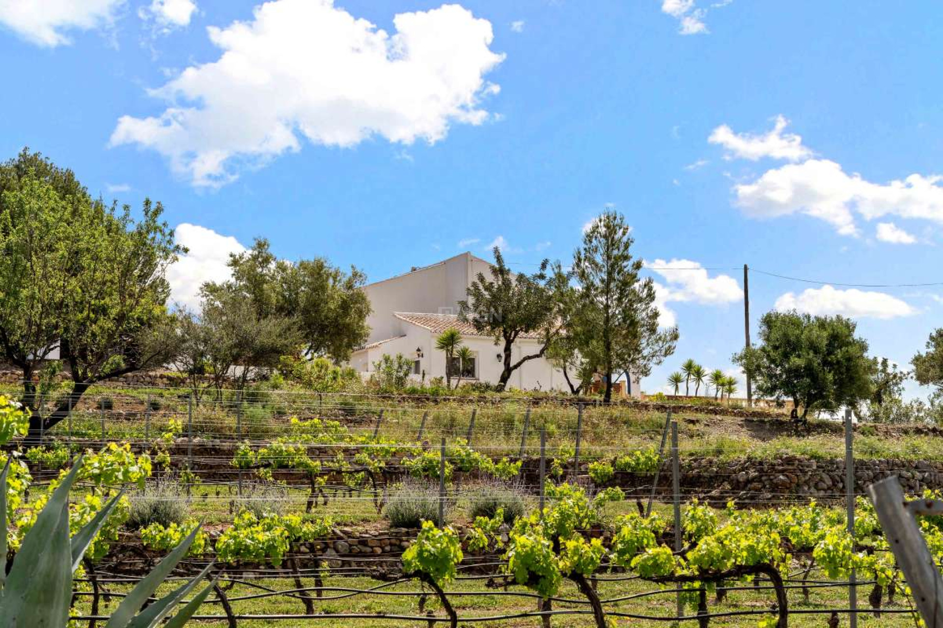 Reventa - Villa - Murla - Inland