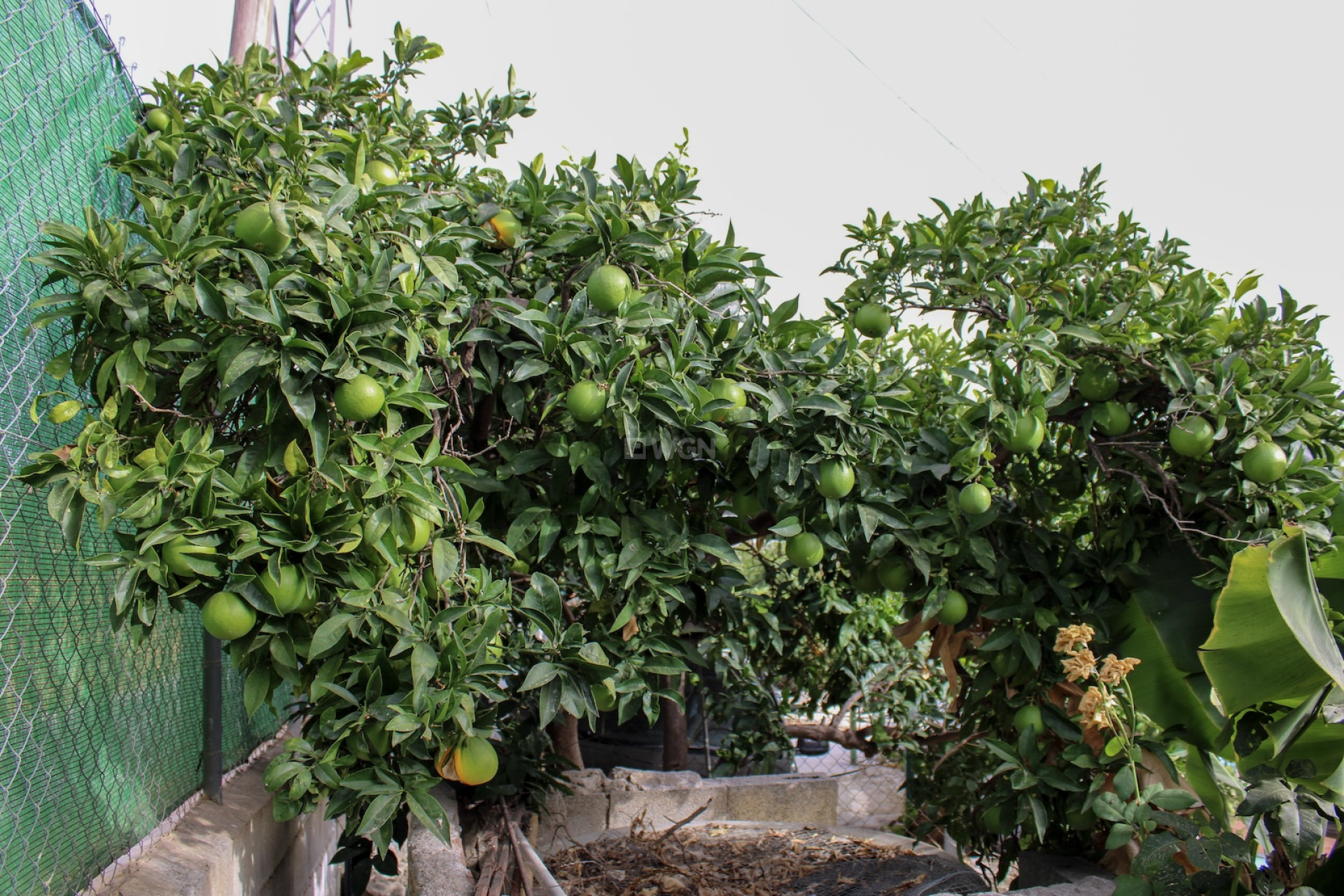 Reventa - Villa - Nerja - Costa del Sol