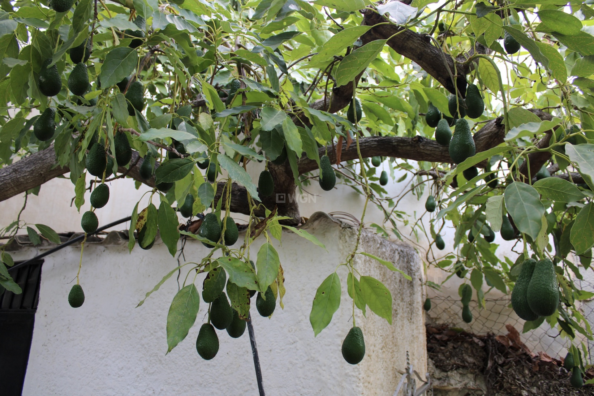 Reventa - Villa - Nerja - Costa del Sol