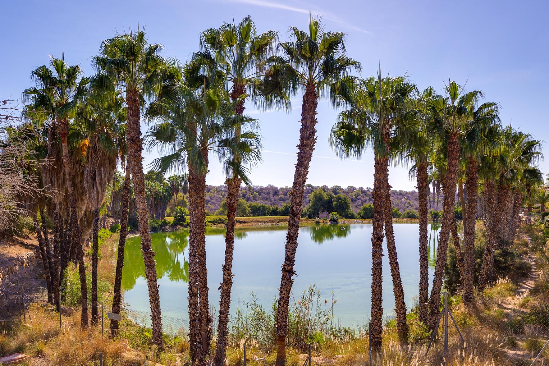 Reventa - Villa - Orihuela Costa - Costa Blanca