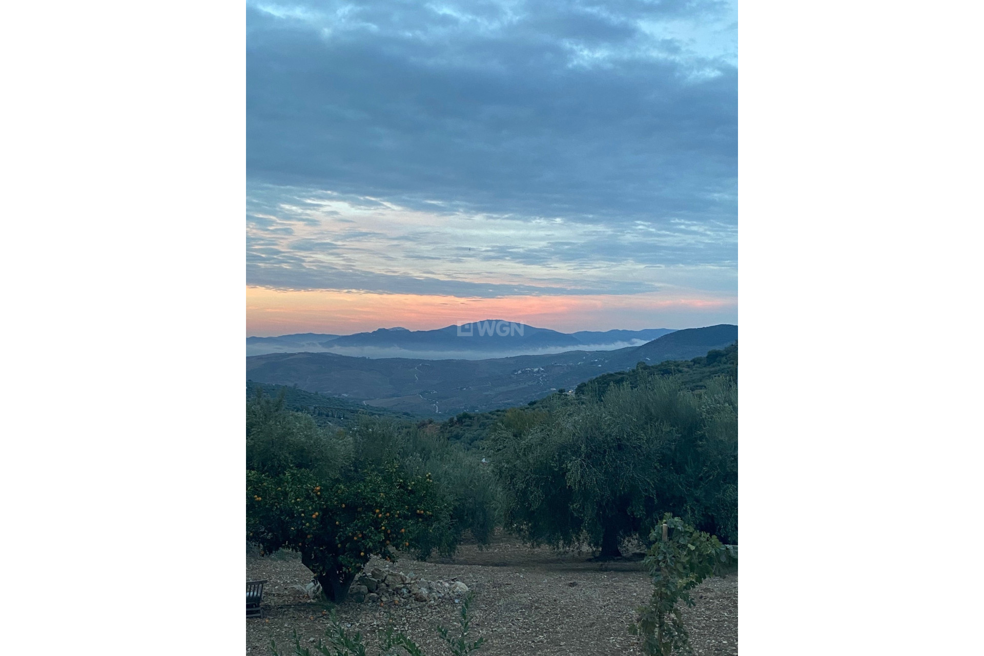 Reventa - Villa - Periana - Inland