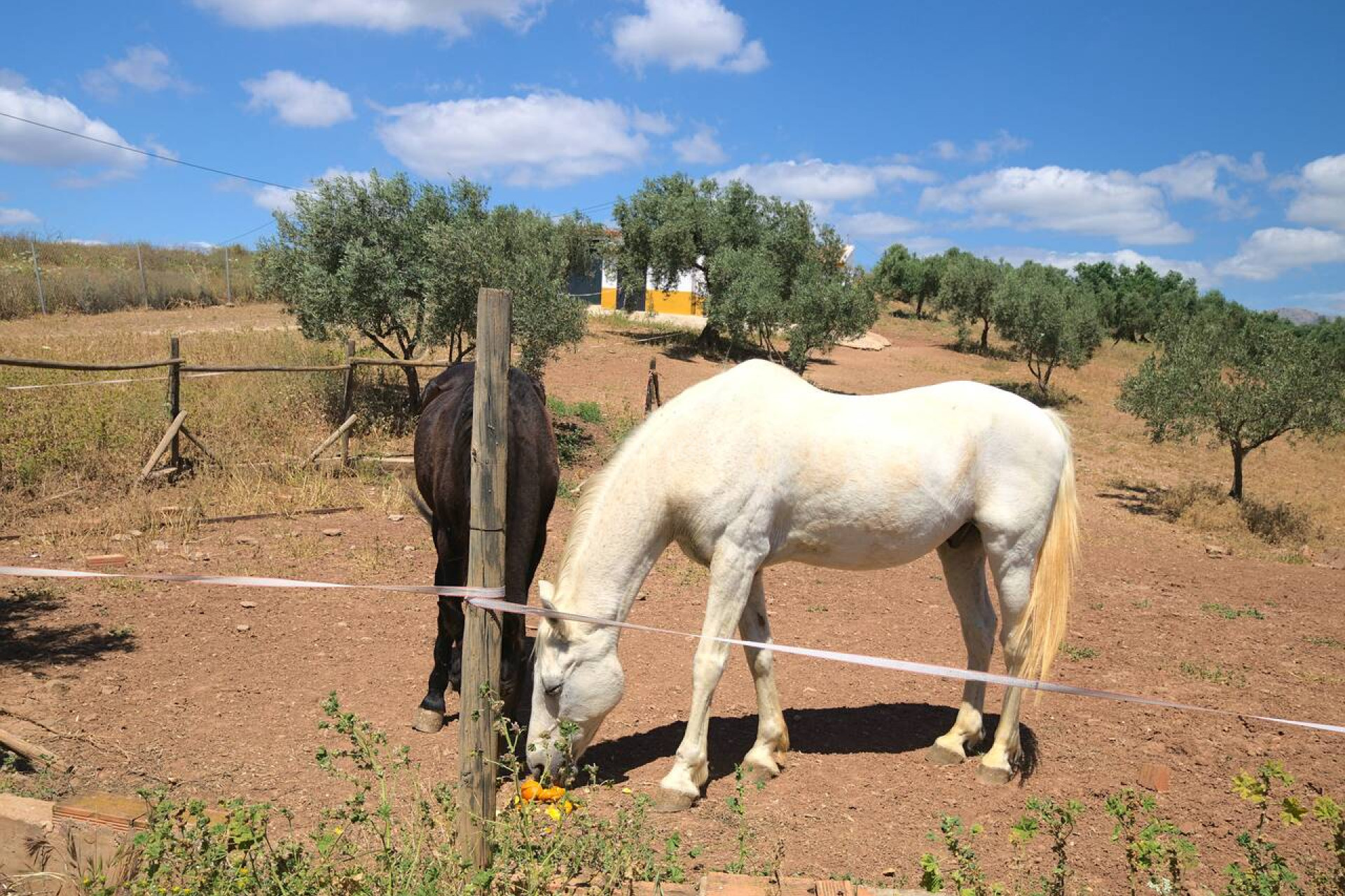 Reventa - Villa - Periana - Inland