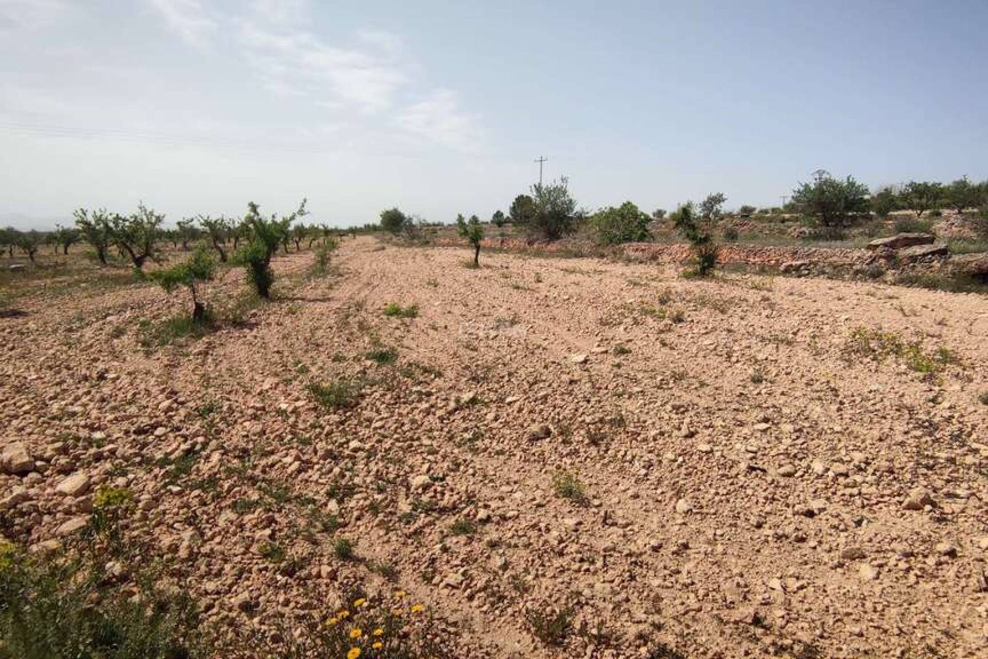 Reventa - Villa - Pinoso - Inland