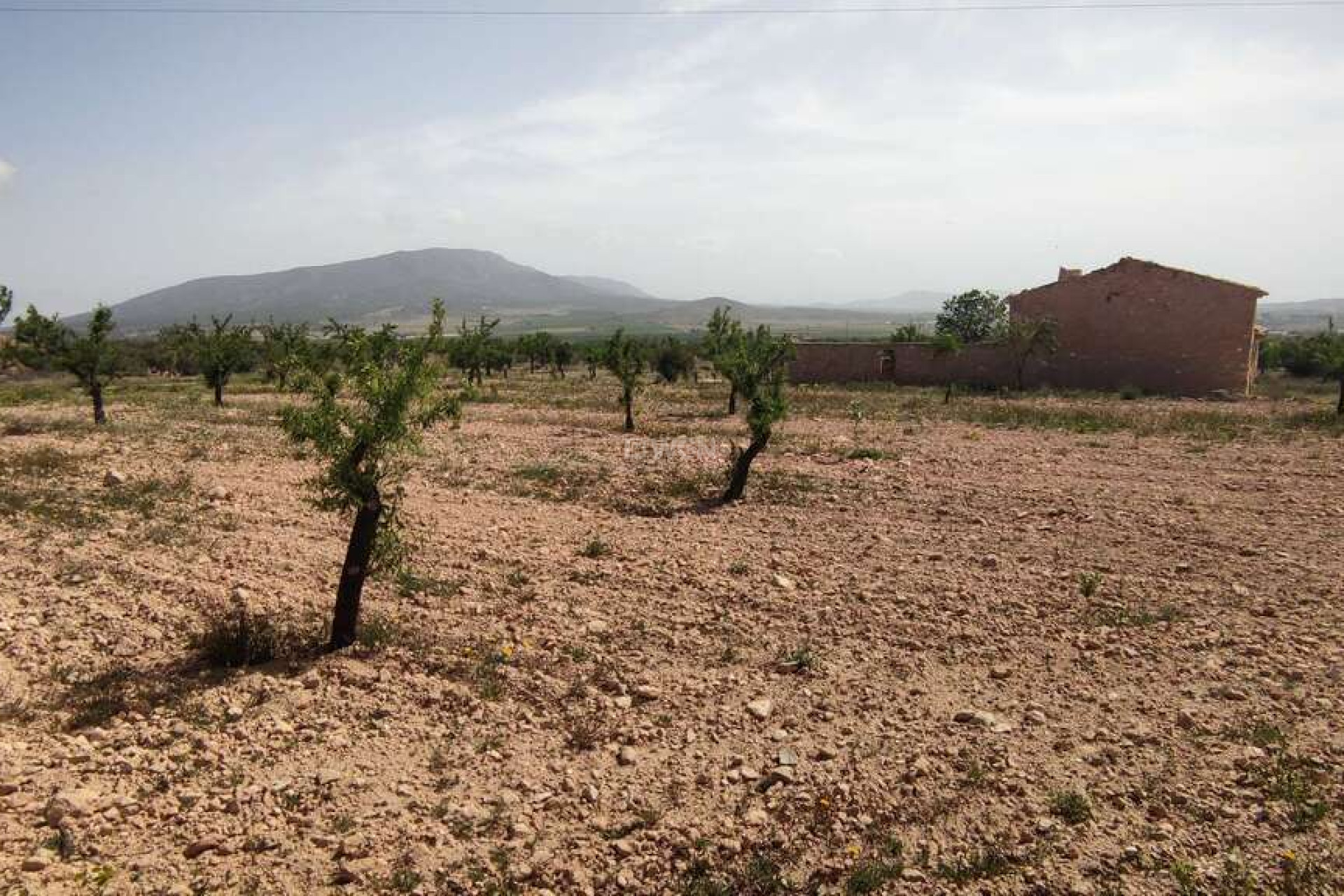 Reventa - Villa - Pinoso - Inland