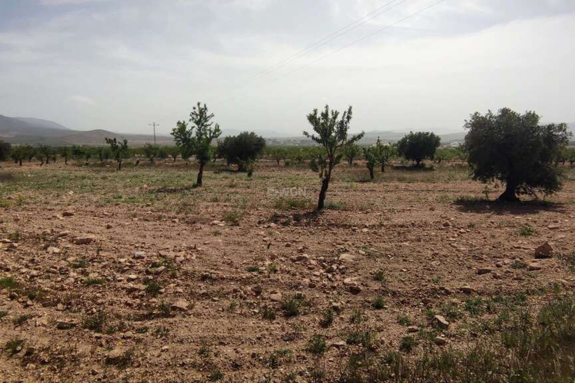 Reventa - Villa - Pinoso - Inland