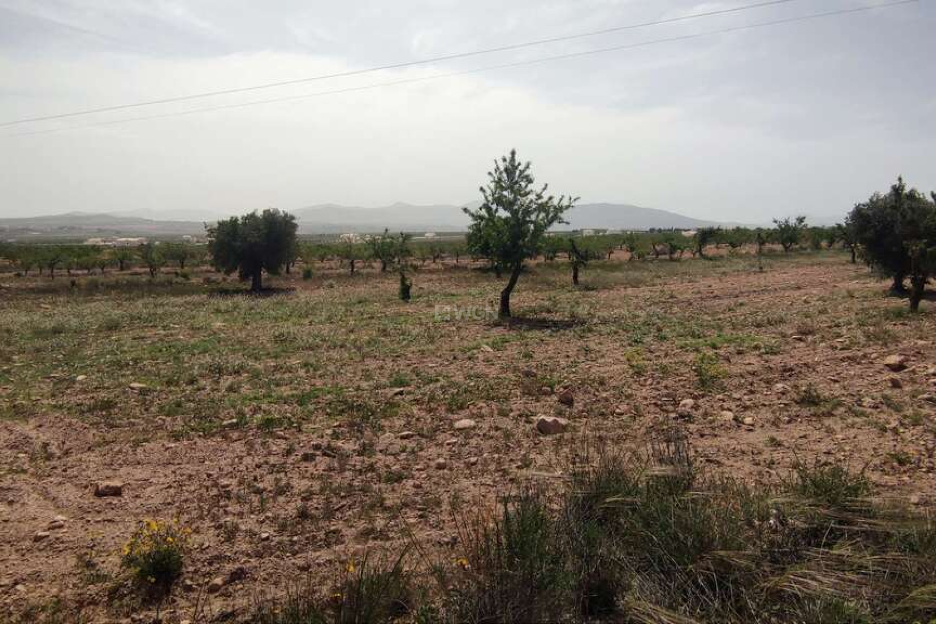 Reventa - Villa - Pinoso - Inland