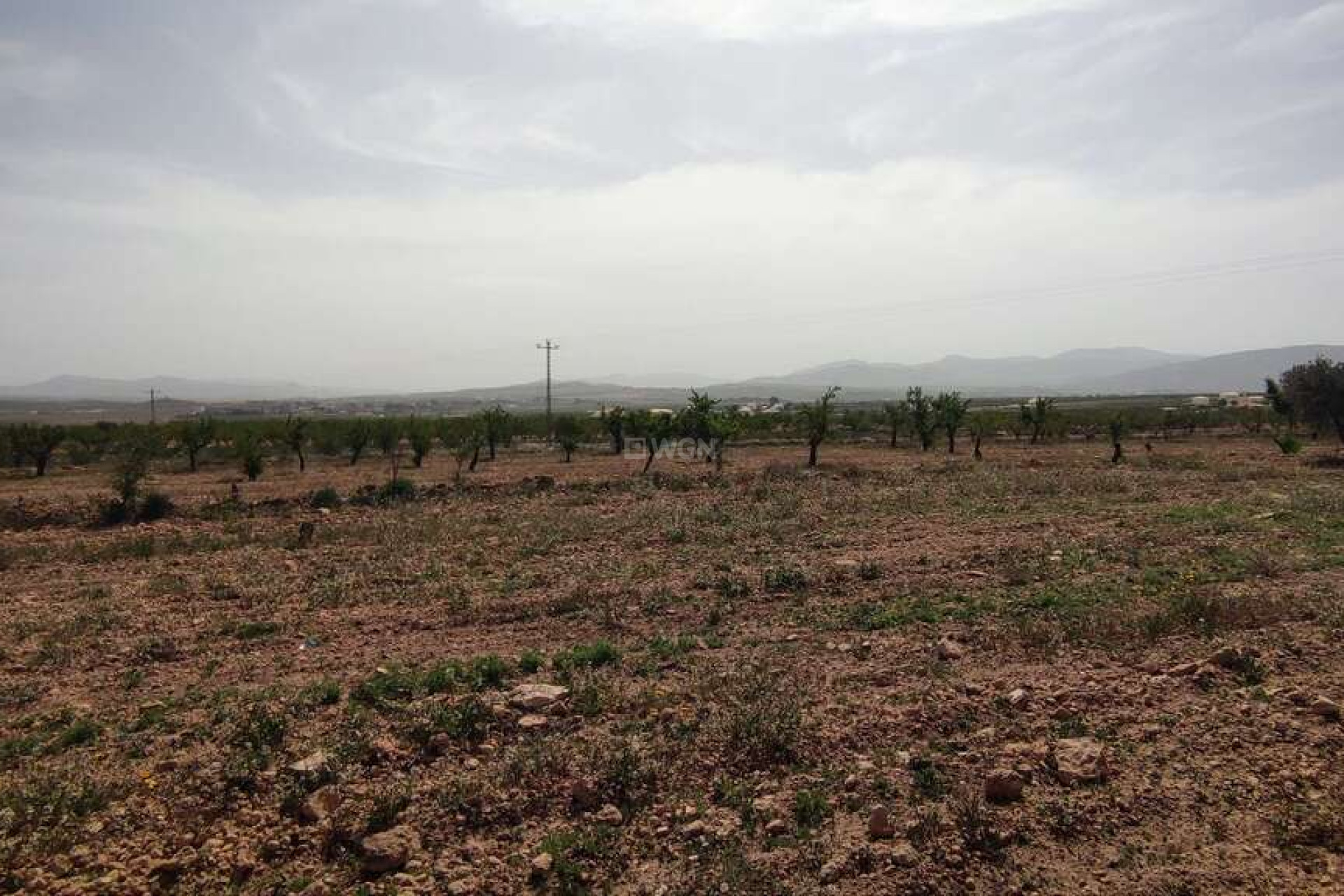 Reventa - Villa - Pinoso - Inland