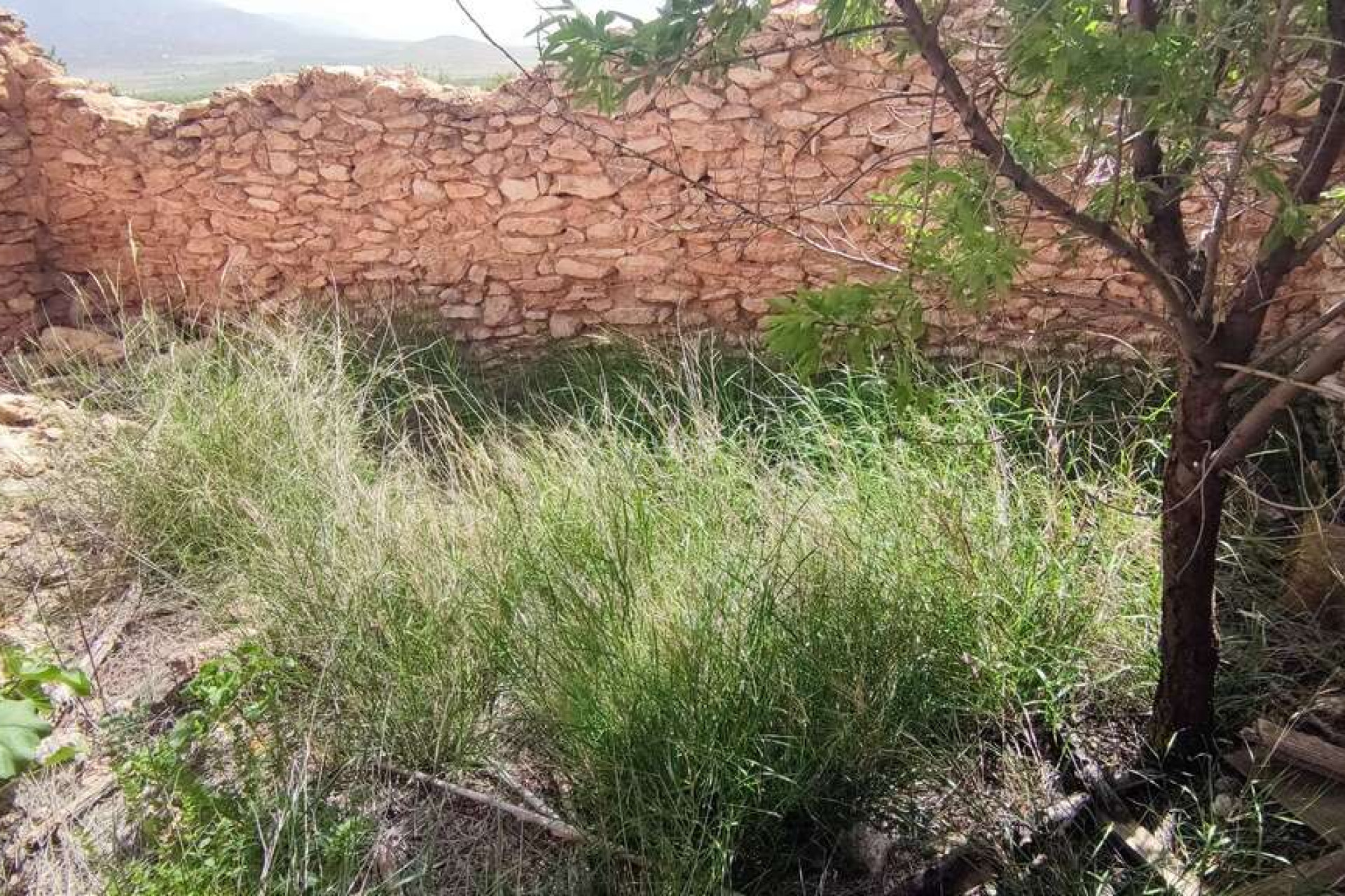 Reventa - Villa - Pinoso - Inland