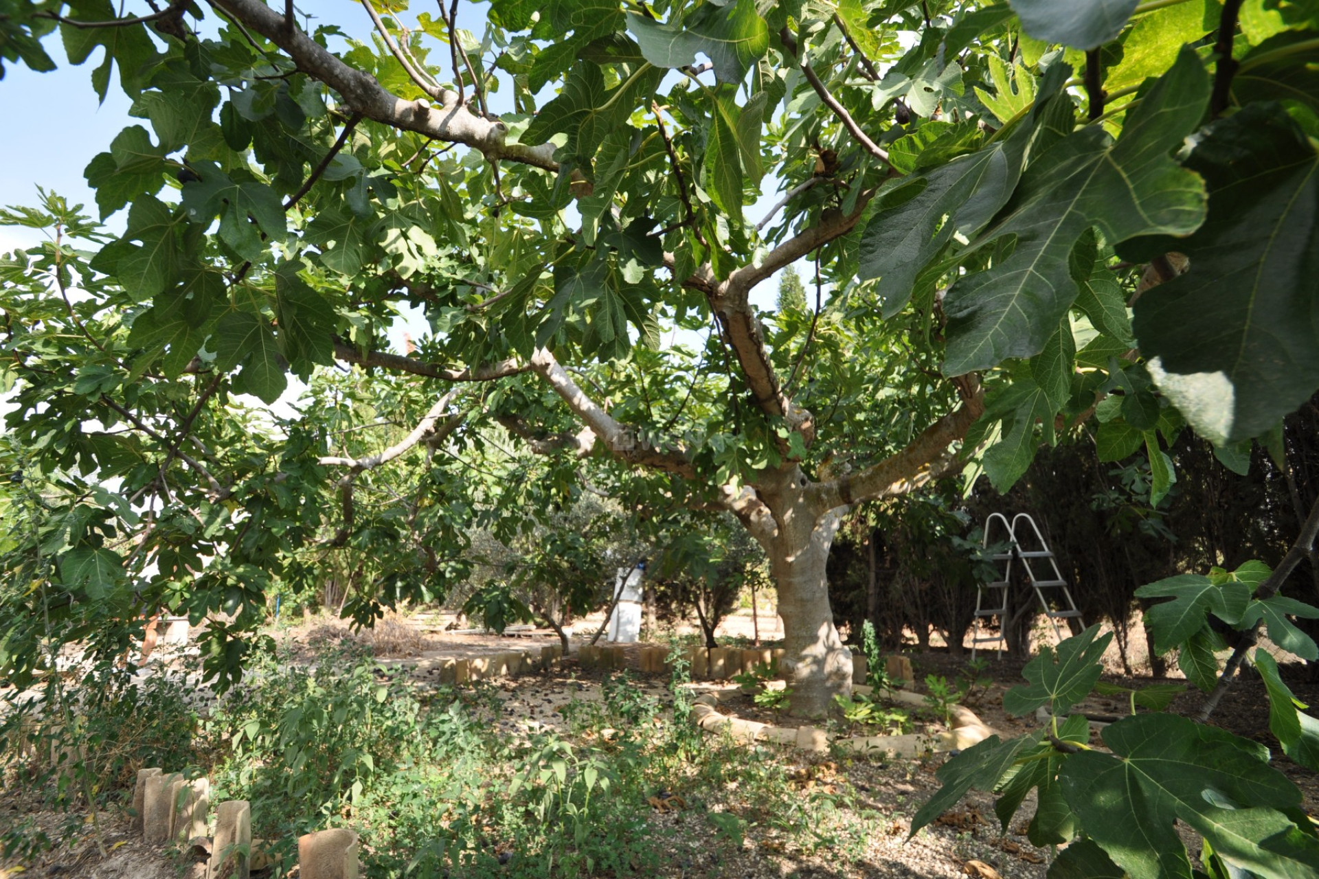 Reventa - Villa - Pinoso - Inland