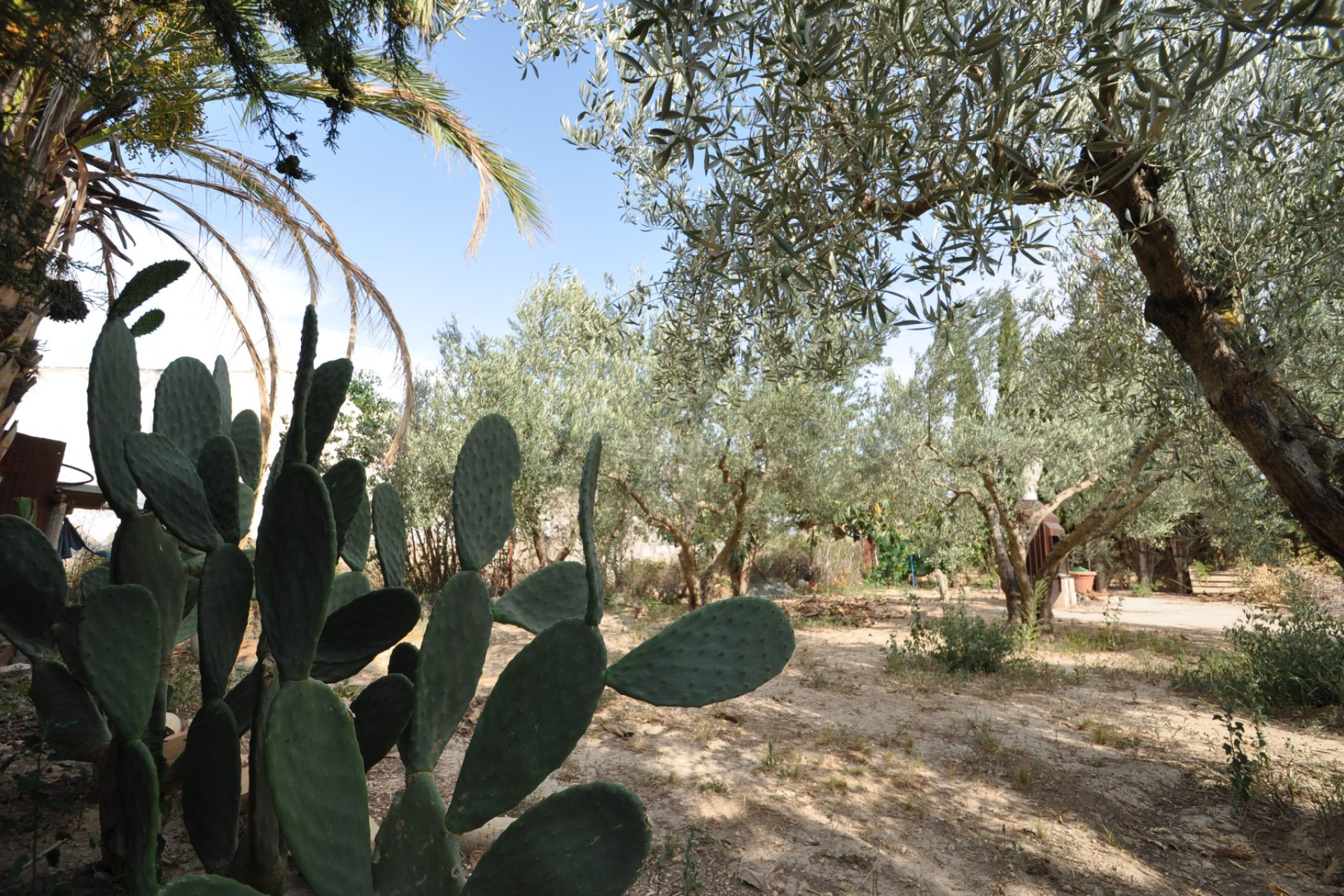 Reventa - Villa - Pinoso - Inland