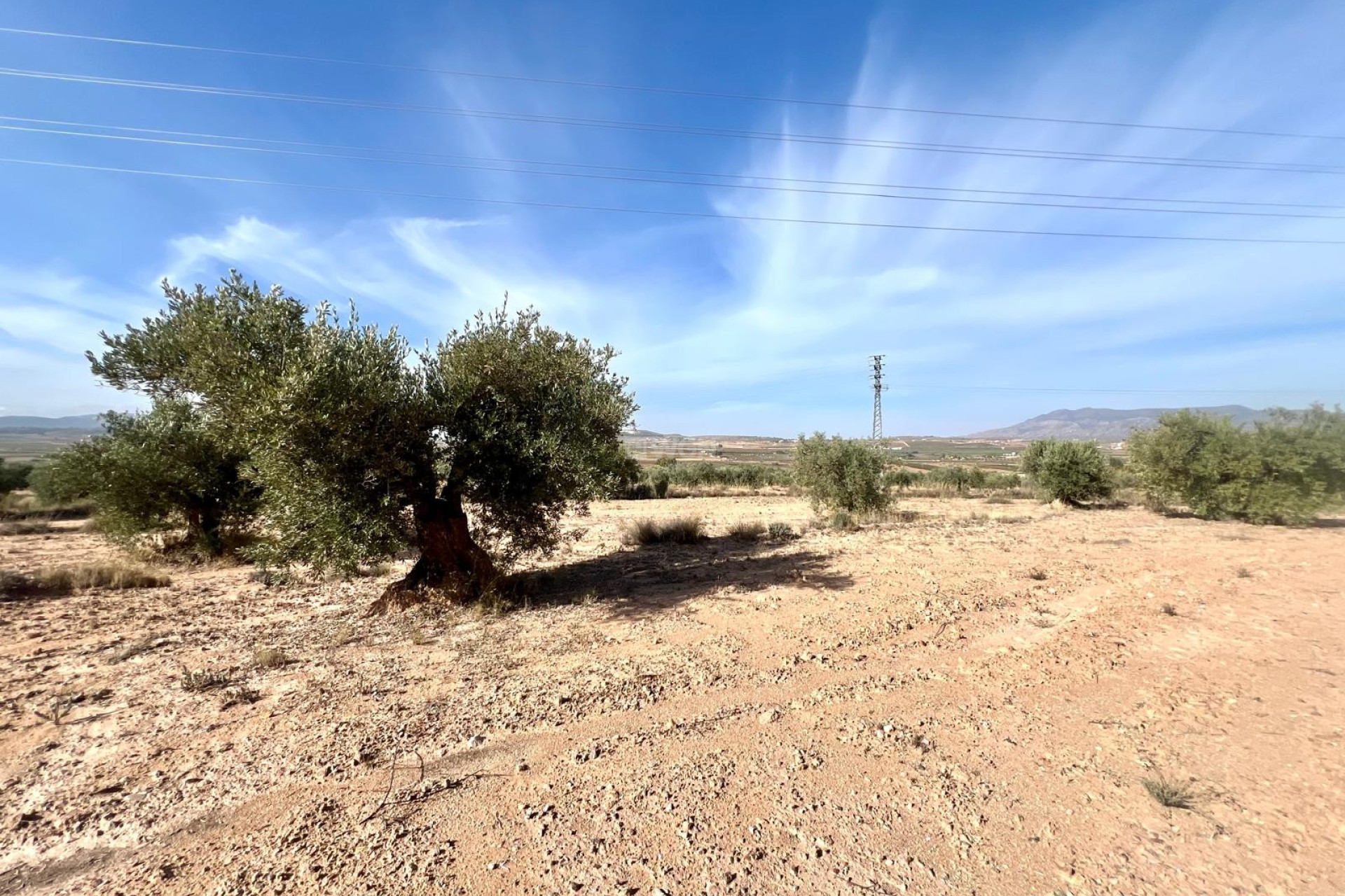 Reventa - Villa - Pinoso - Inland